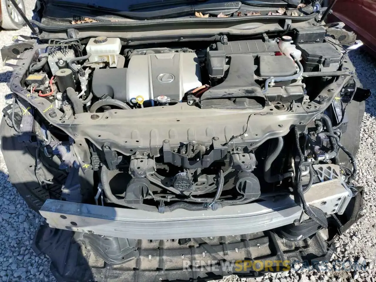 12 Photograph of a damaged car 2T2BGMCA5KC042037 LEXUS RX450 2019