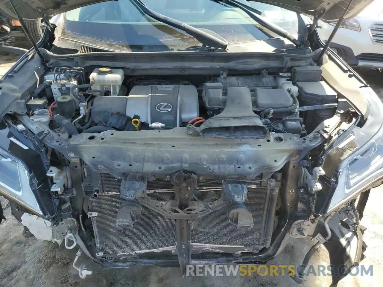 14 Photograph of a damaged car 2T2BGMCA6KC036280 LEXUS RX450 2019