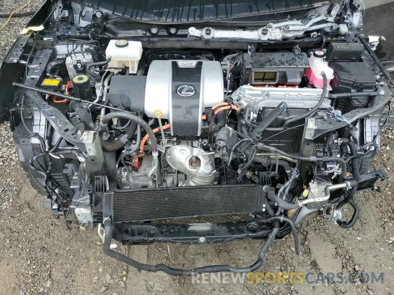 12 Photograph of a damaged car JTJDGKCA7K2006461 LEXUS RX450 2019