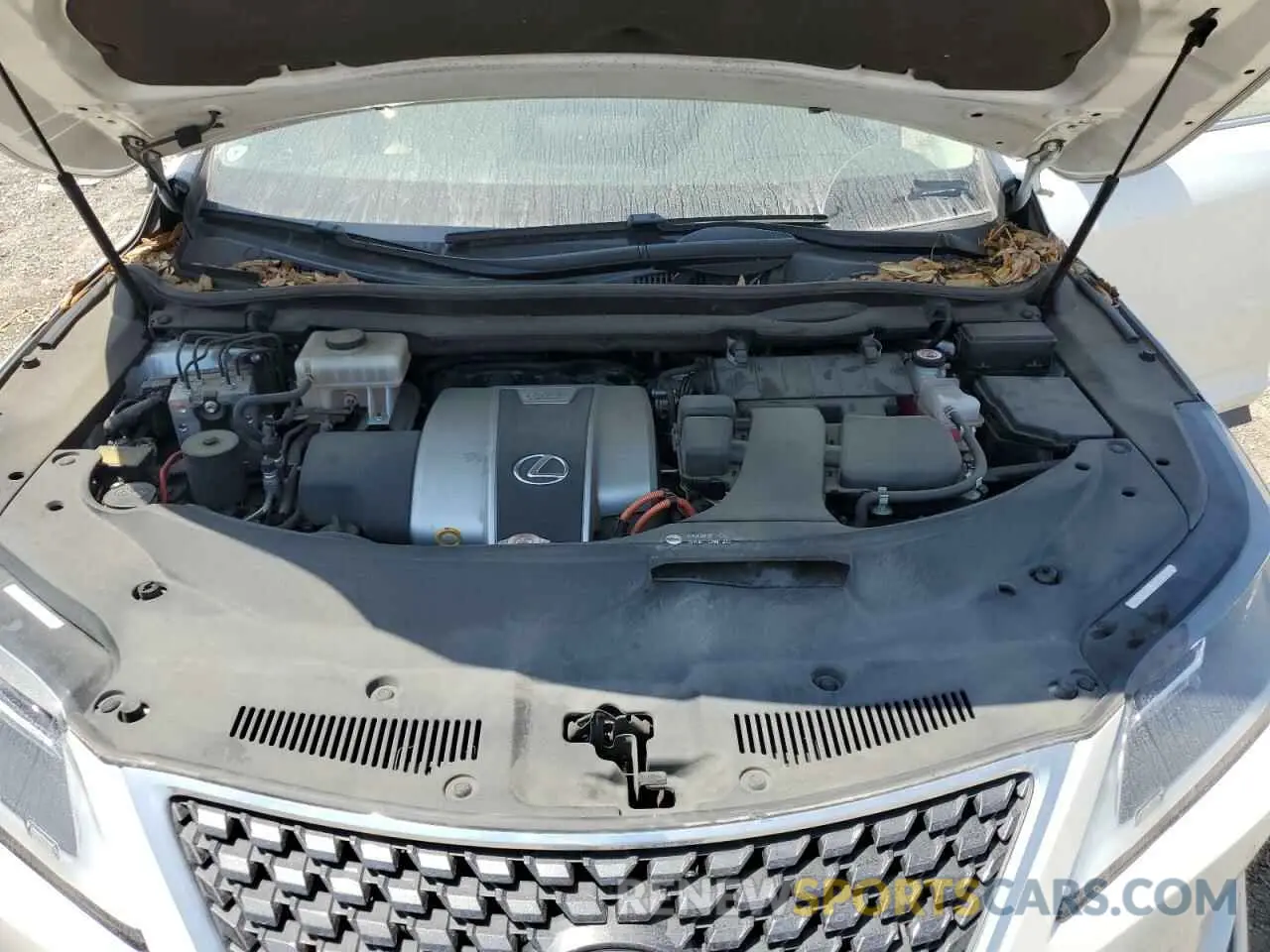 12 Photograph of a damaged car JTJHGKFA8M2017243 LEXUS RX450 2021