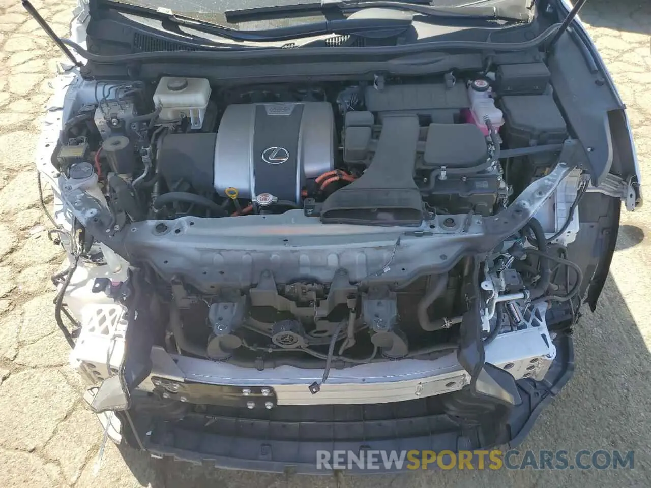 11 Photograph of a damaged car JTJHGKFA5N2022904 LEXUS RX450 2022