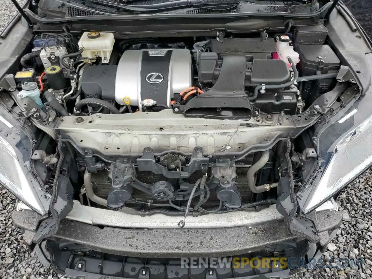 12 Photograph of a damaged car JTJJGKFA0N2029020 LEXUS RX450 2022