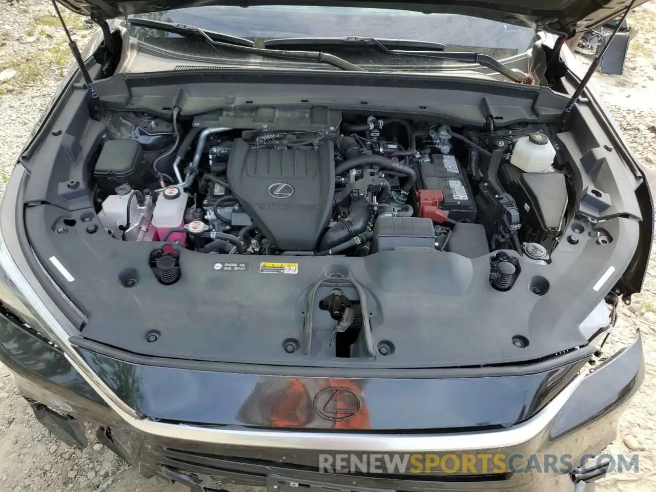 12 Photograph of a damaged car 5TDAAAB64RS014647 LEXUS TX 350 BAS 2024