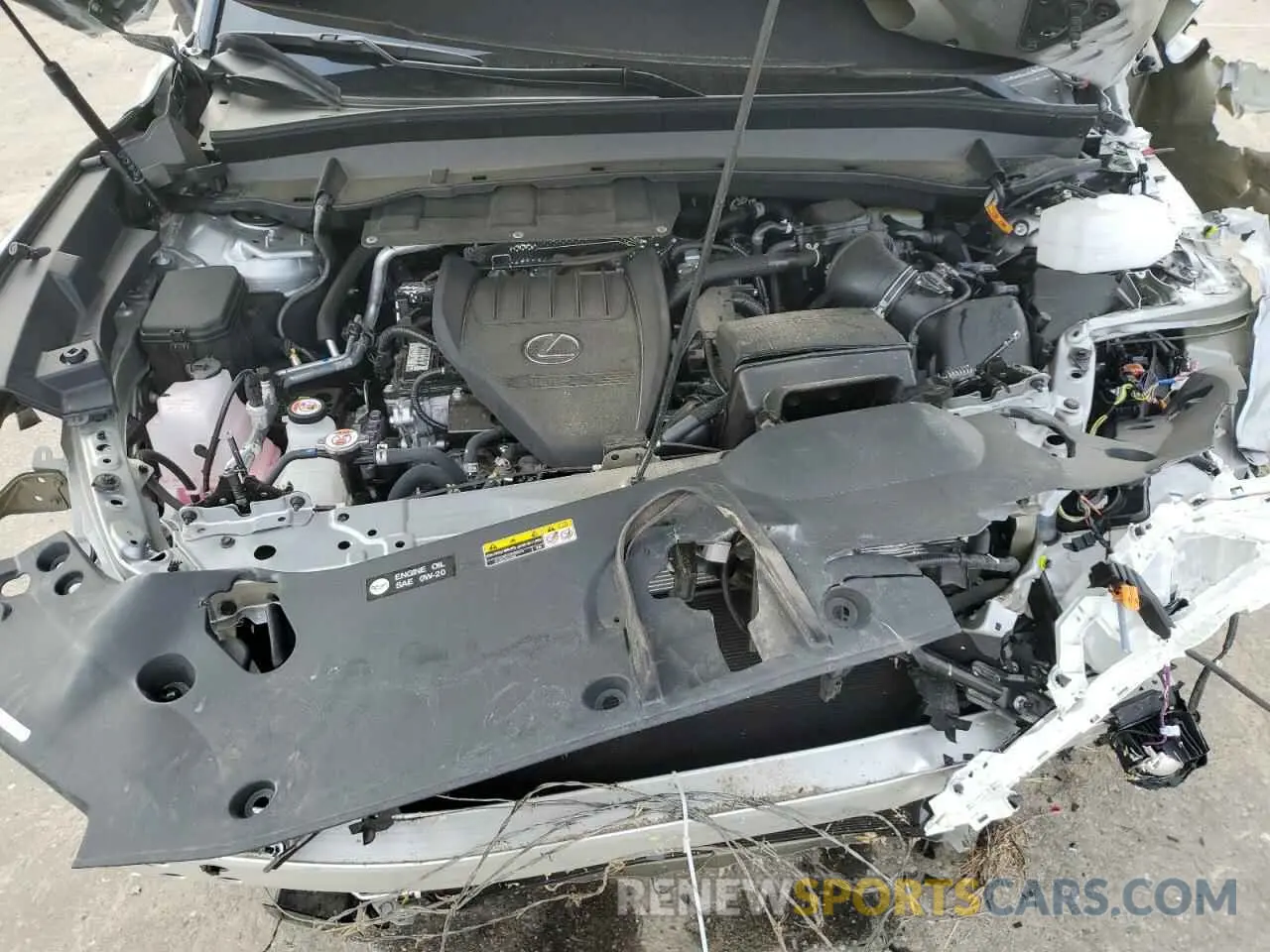13 Photograph of a damaged car 5TDABAB63RS006651 LEXUS TX 500H F 2024