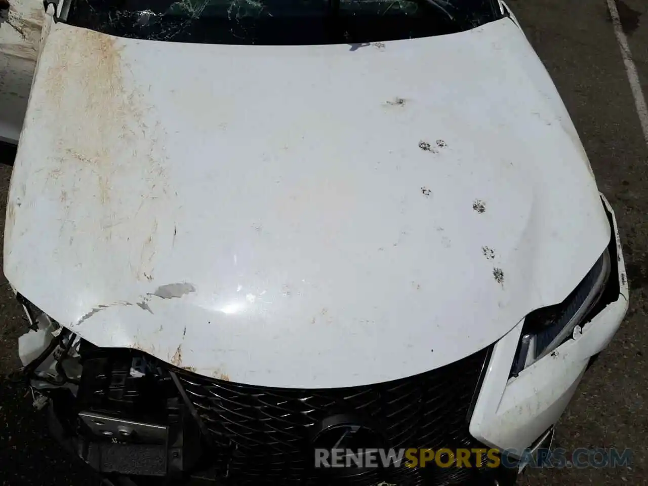 7 Photograph of a damaged car JTHY3JBH1K2006771 LEXUS UX 200 2019