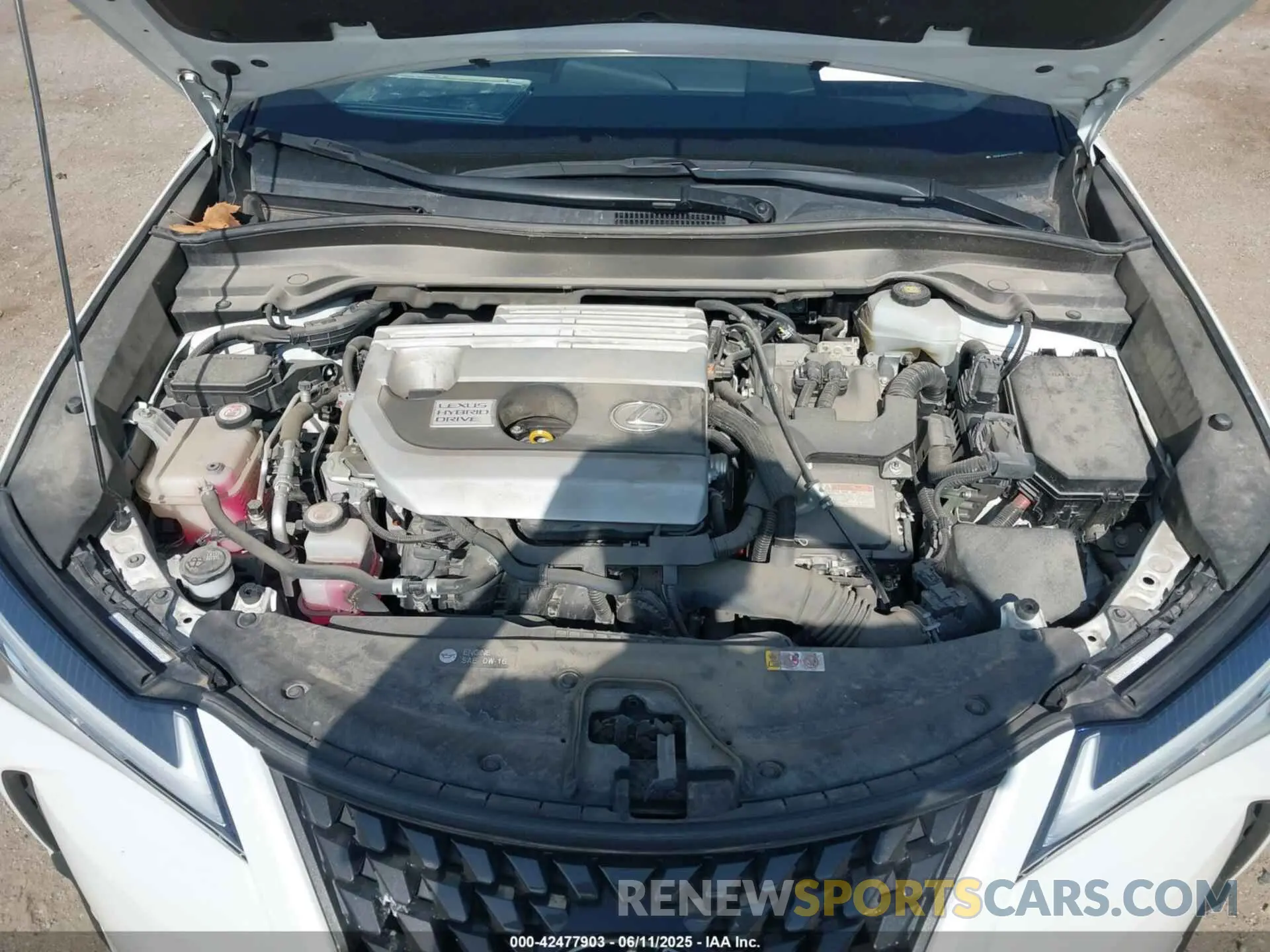 10 Photograph of a damaged car JTHU9JBH2K2019087 LEXUS UX 250H 2019