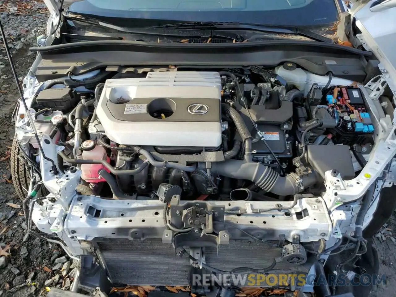 12 Photograph of a damaged car JTHP9JBH1L2020200 LEXUS UX 250H 2020