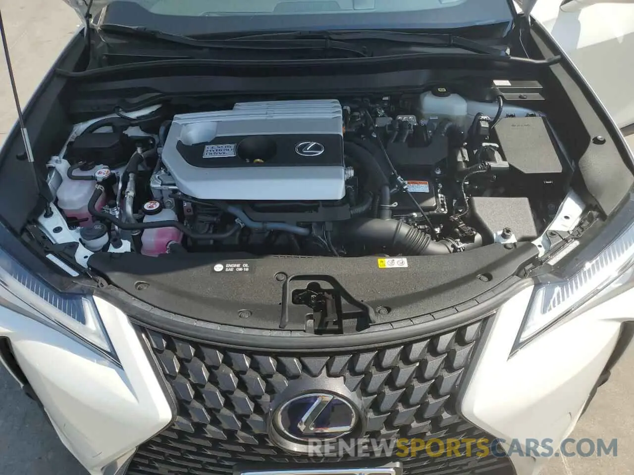 11 Photograph of a damaged car JTHP9JBH5M2051838 LEXUS UX 250H 2021