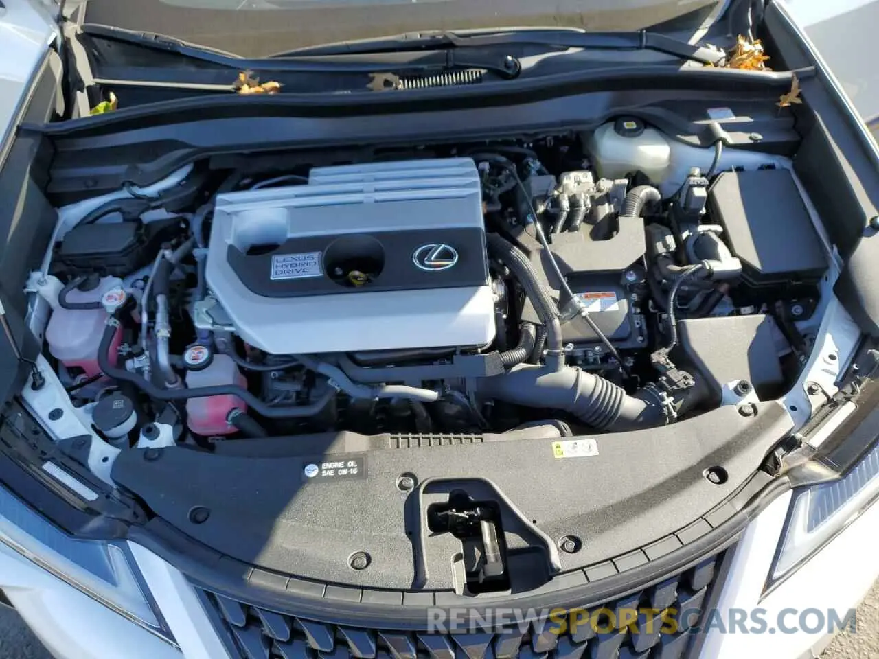11 Photograph of a damaged car JTHX9JBH7M2040131 LEXUS UX 250H 2021