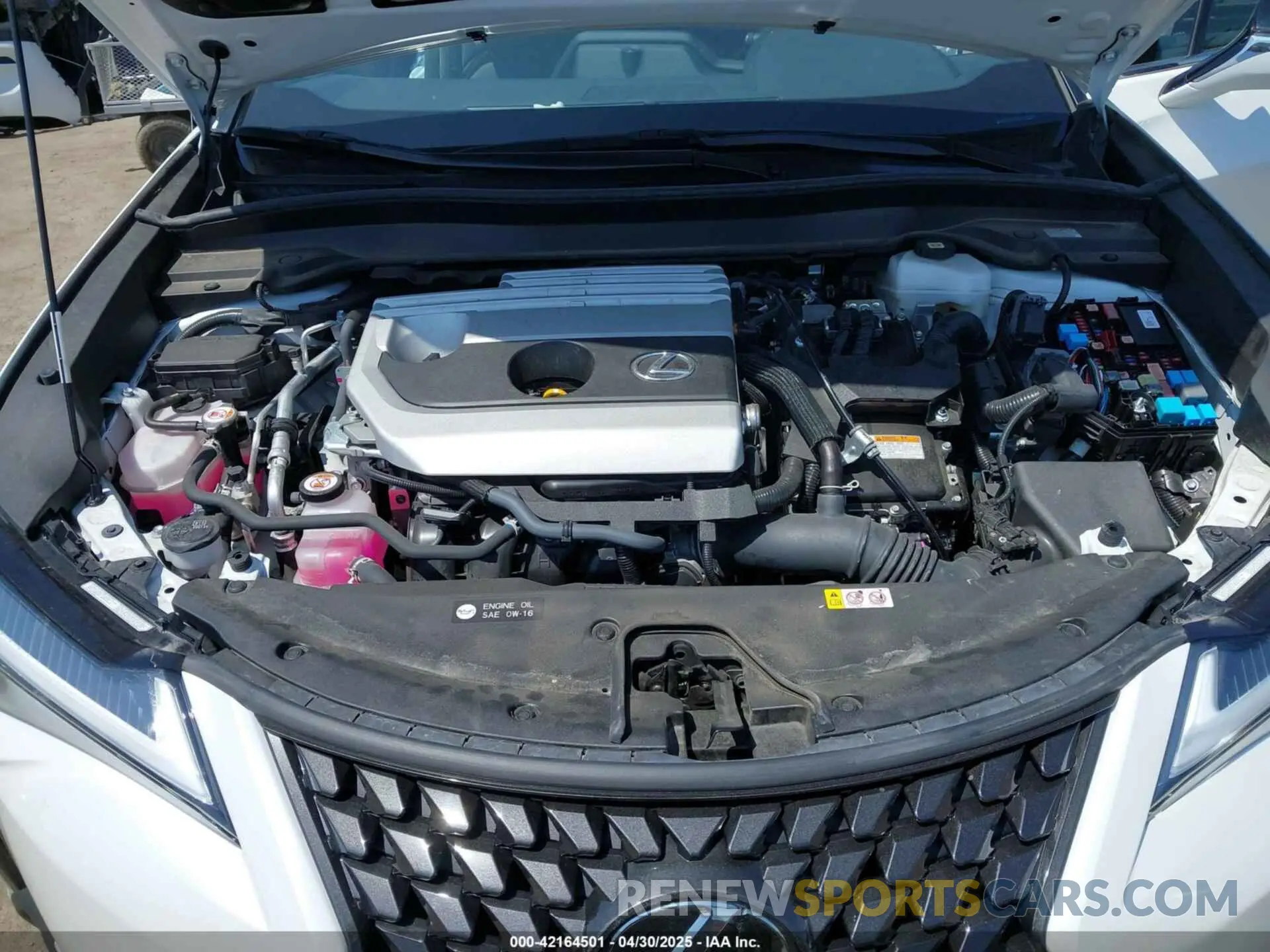 10 Photograph of a damaged car JTHX6JBHXR2186541 LEXUS UX 250H 2024