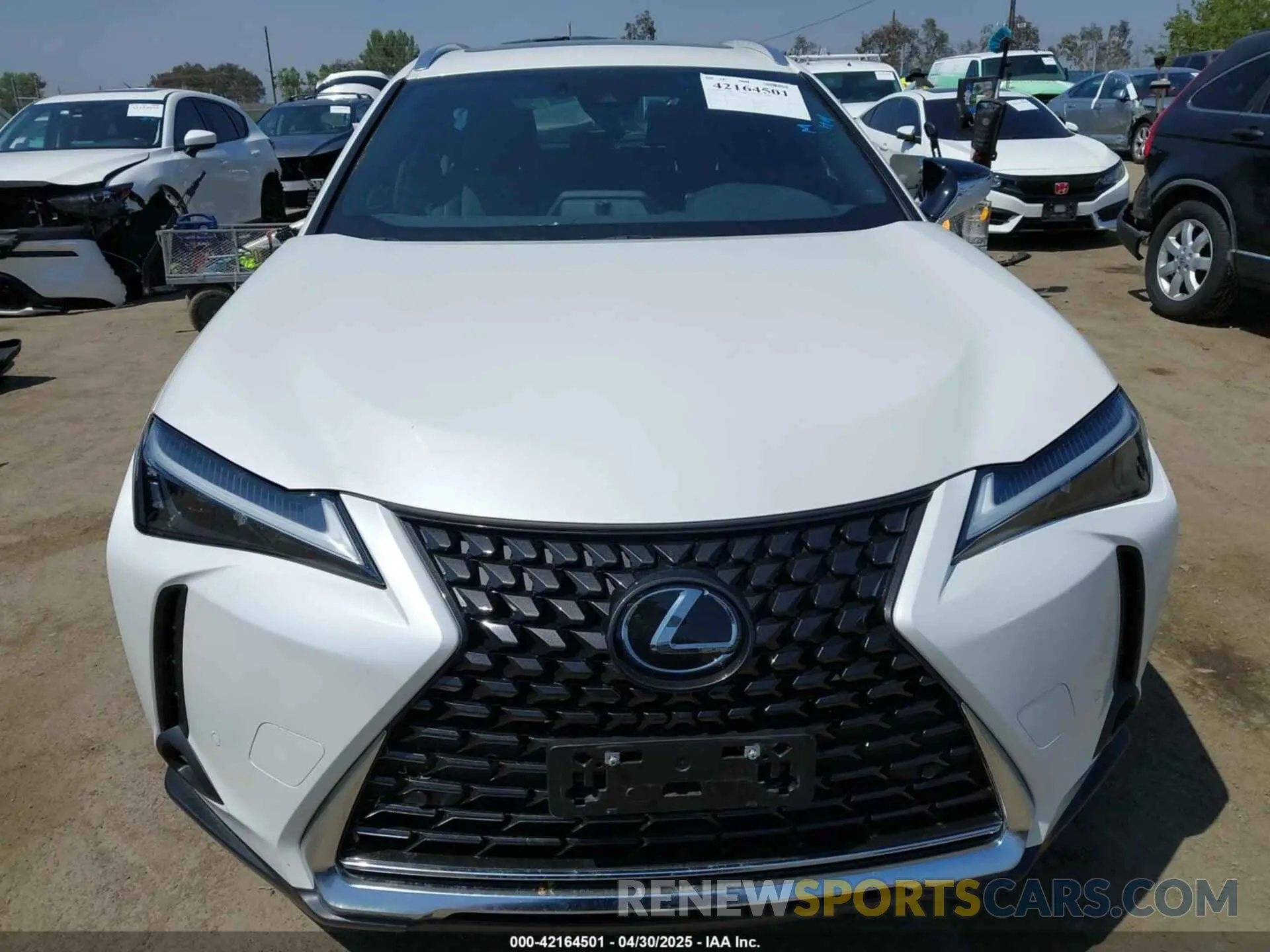 12 Photograph of a damaged car JTHX6JBHXR2186541 LEXUS UX 250H 2024