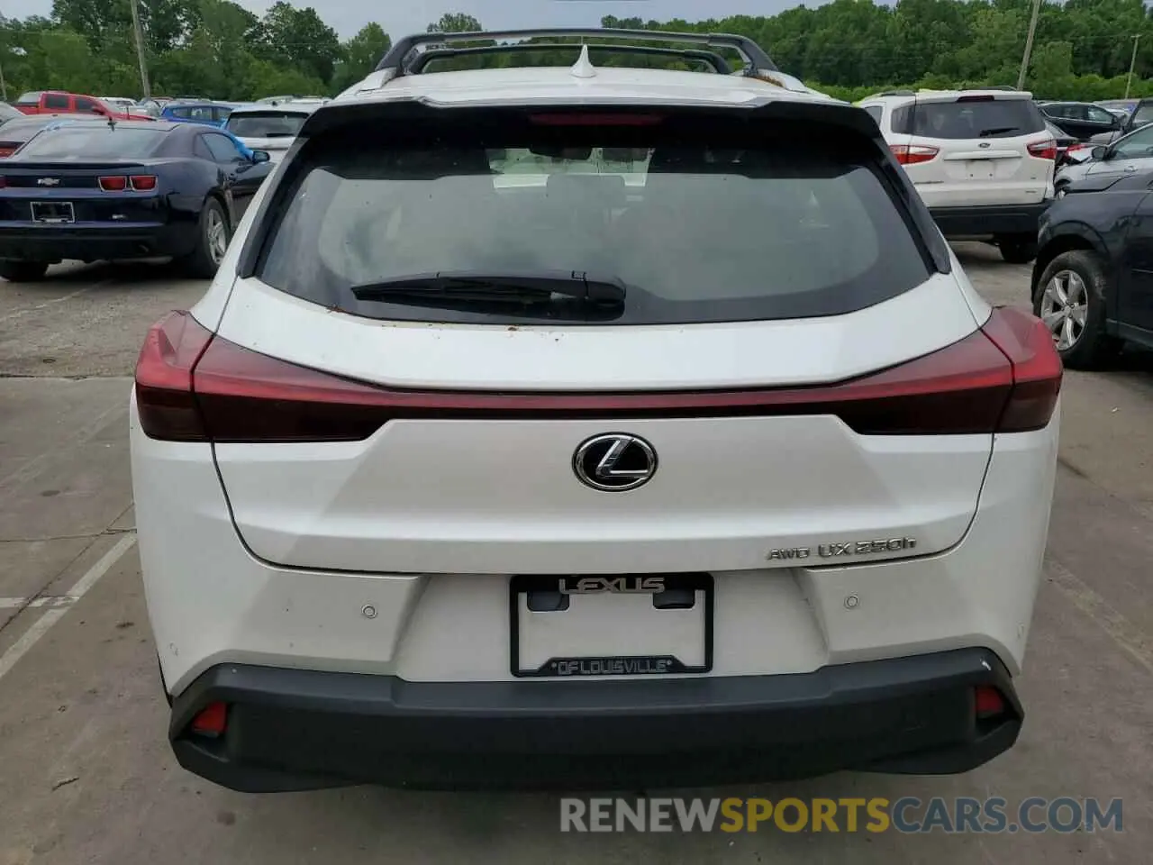 6 Photograph of a damaged car JTHP9JBH4R2071876 LEXUS UX 250H PR 2024