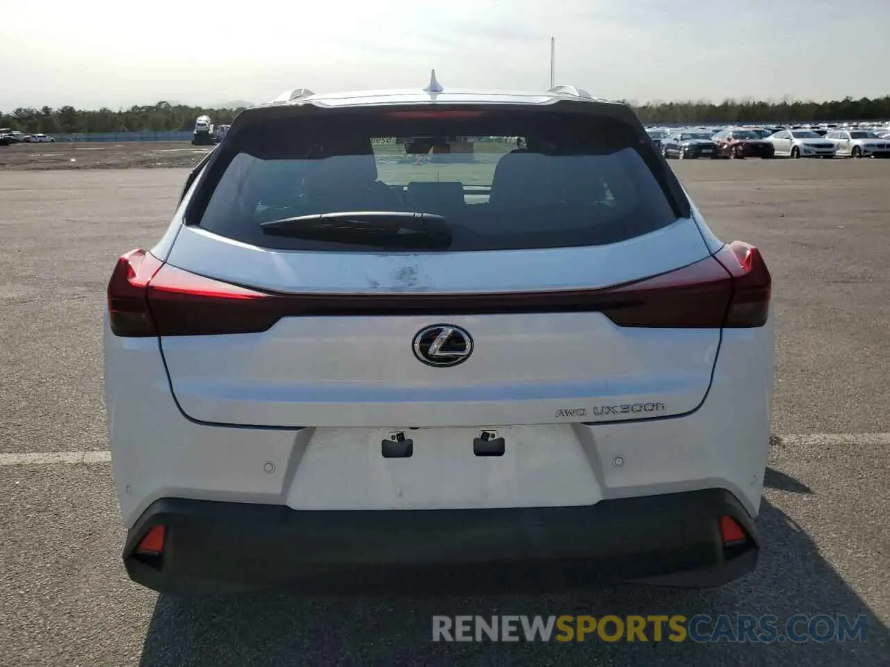 6 Photograph of a damaged car JTHUCJDH6S2007491 LEXUS UX 300H BA 2025