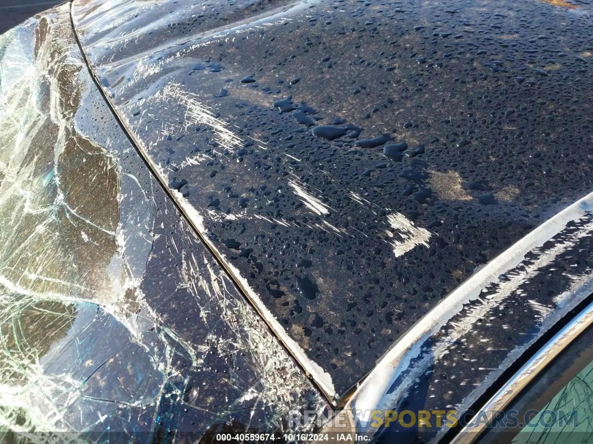 21 Photograph of a damaged car 1LN6L9HK1K5602662 LINCOLN CONTINENTAL 2019