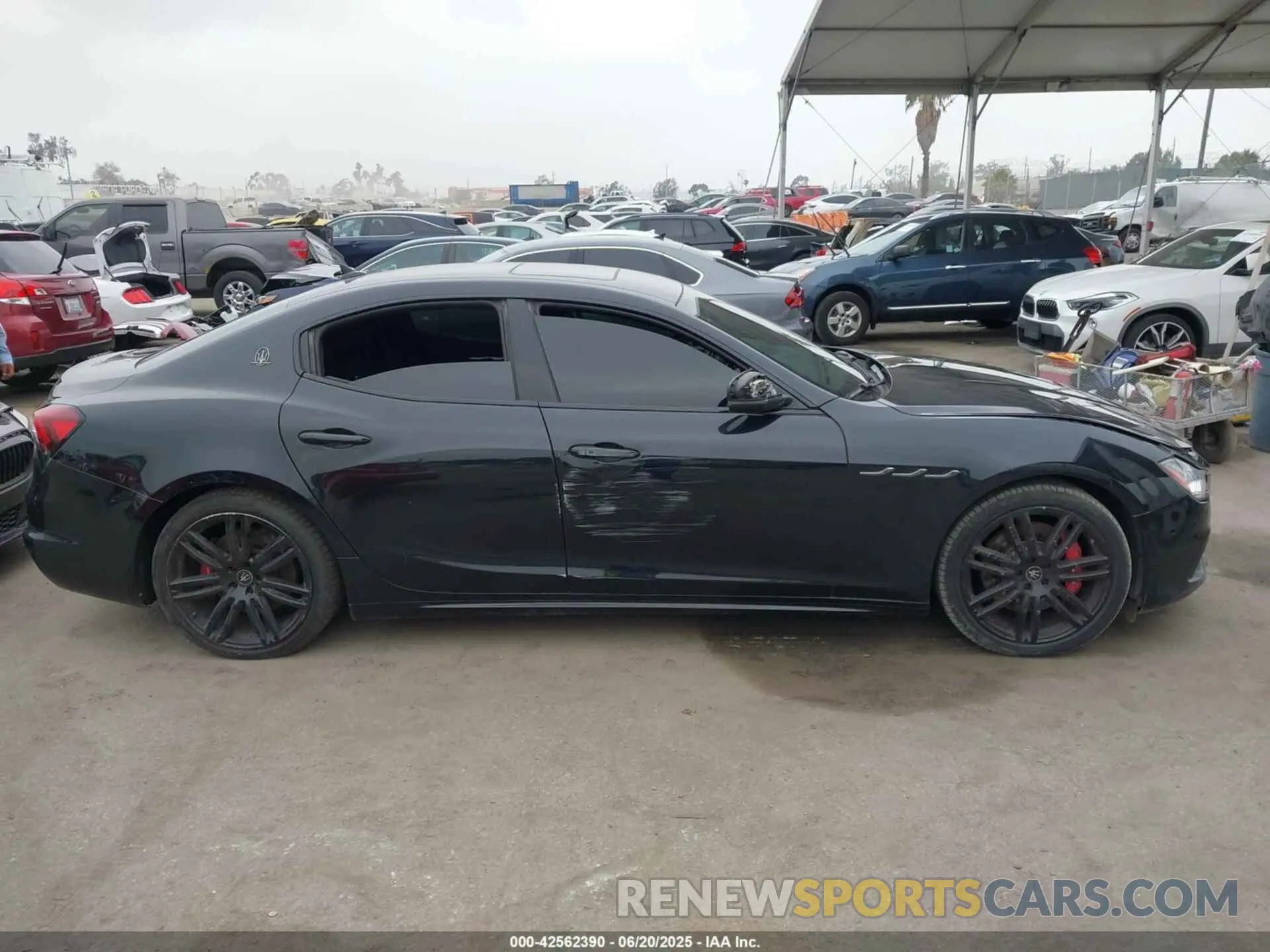 14 Photograph of a damaged car ZAM57YSA3M1365483 MASERATI GHIBLI 2021