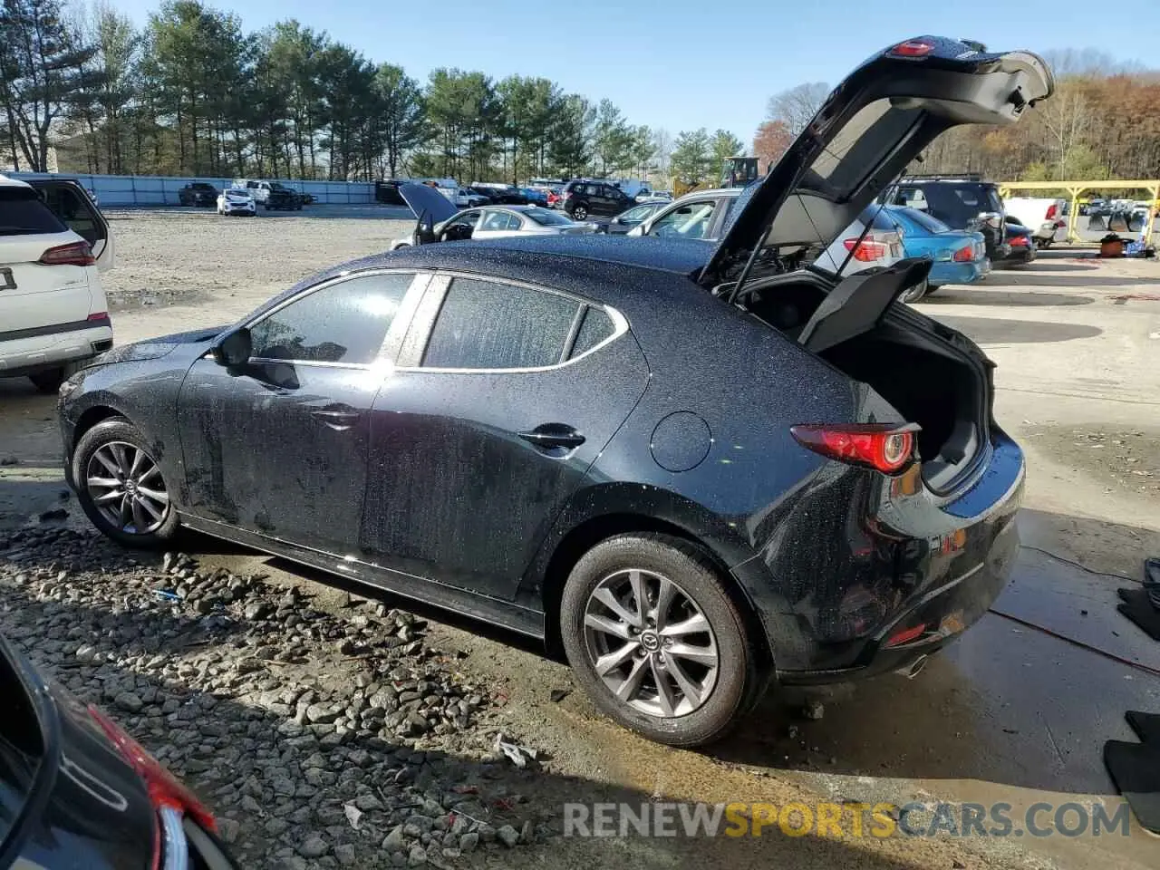 2 Photograph of a damaged car JM1BPAJL3N1511772 MAZDA 3 2022