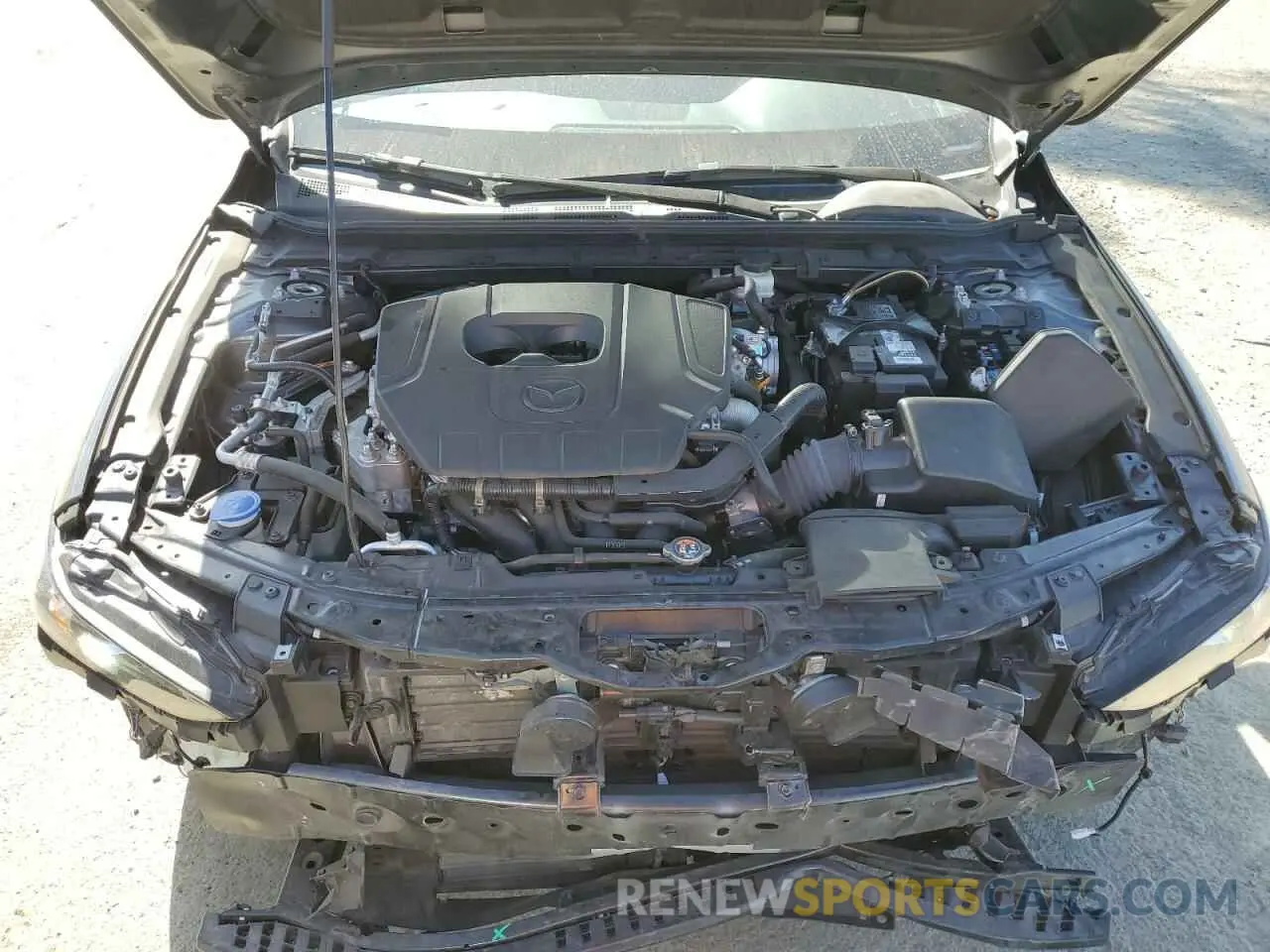 11 Photograph of a damaged car JM1BPALM4P1611291 MAZDA 3 2023