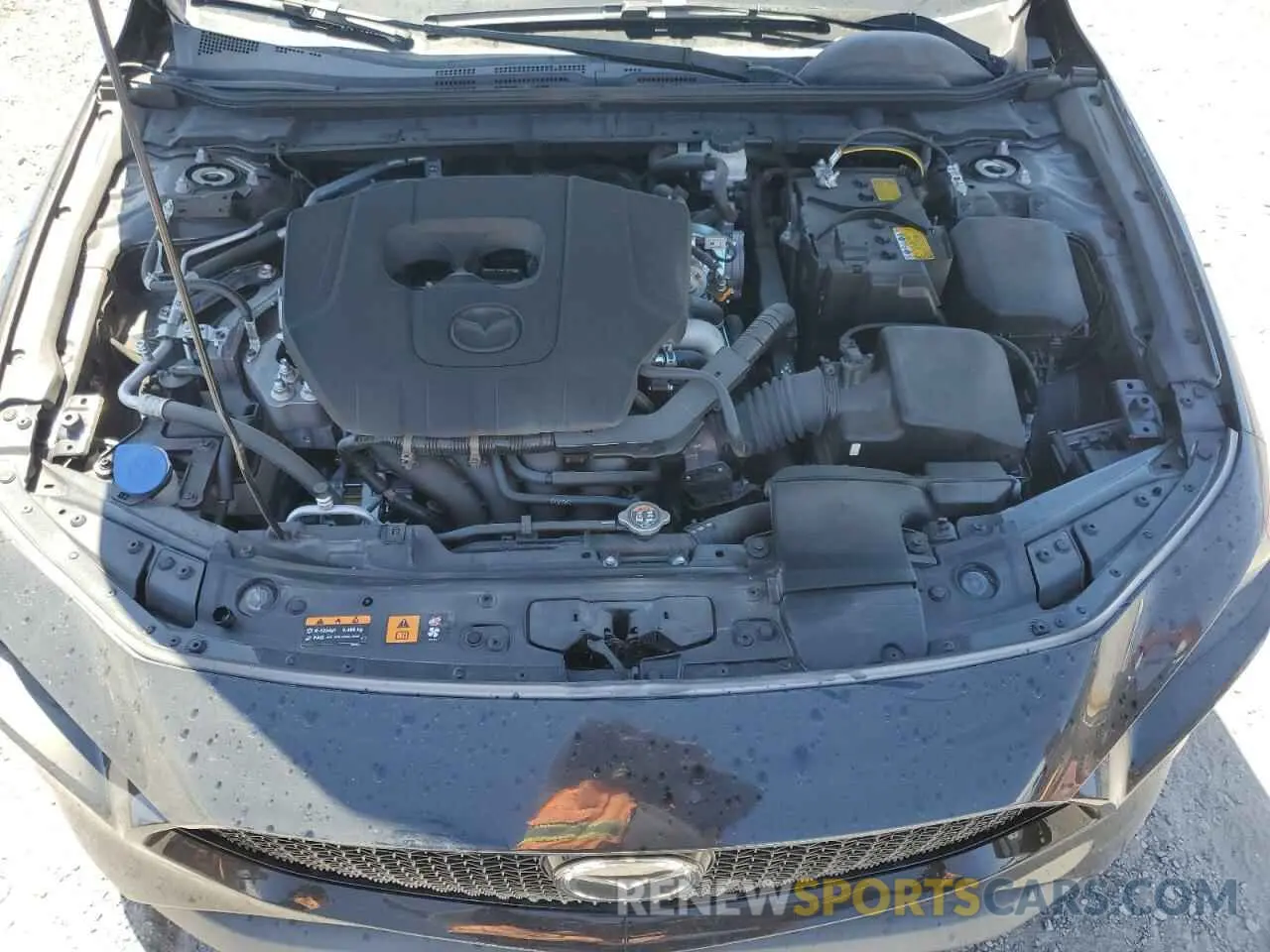 11 Photograph of a damaged car JM1BPAMM0P1617930 MAZDA 3 2023