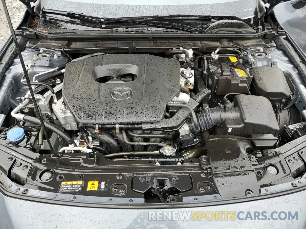 11 Photograph of a damaged car JM1BPAMM1P1615345 MAZDA 3 2023
