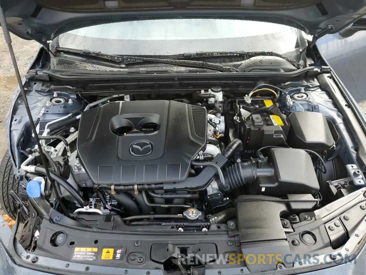 13 Photograph of a damaged car JM1BPBLM5R1655857 MAZDA 3 2024