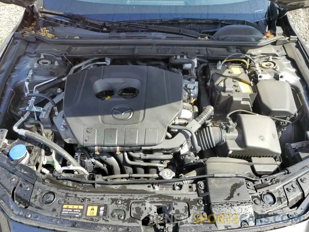 11 Photograph of a damaged car JM1BPACM6S1762013 MAZDA 3 2025