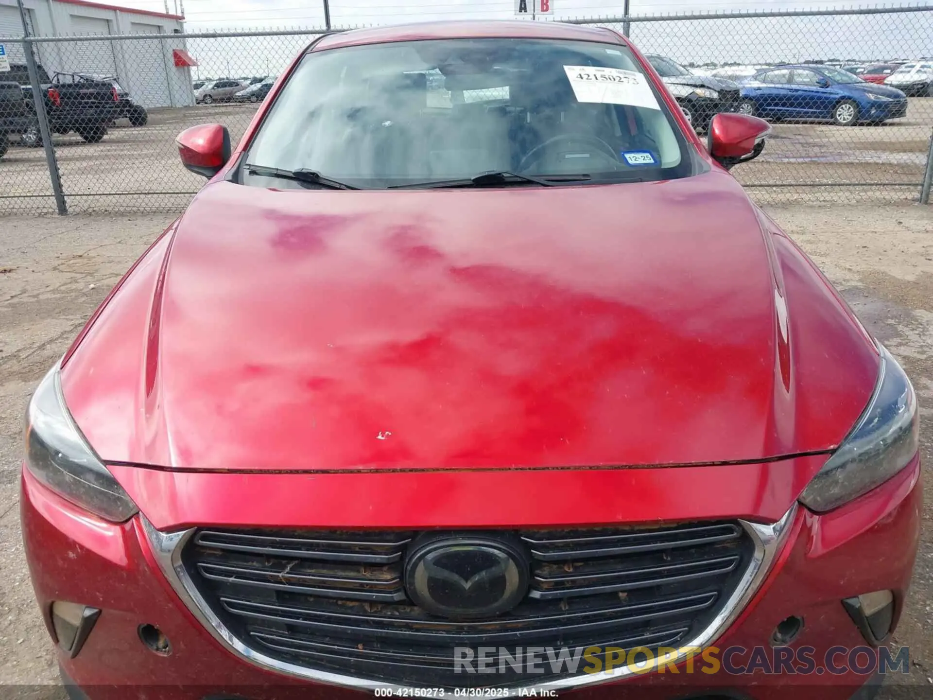 12 Photograph of a damaged car JM1DKDC70K1439014 MAZDA CX-3 2019
