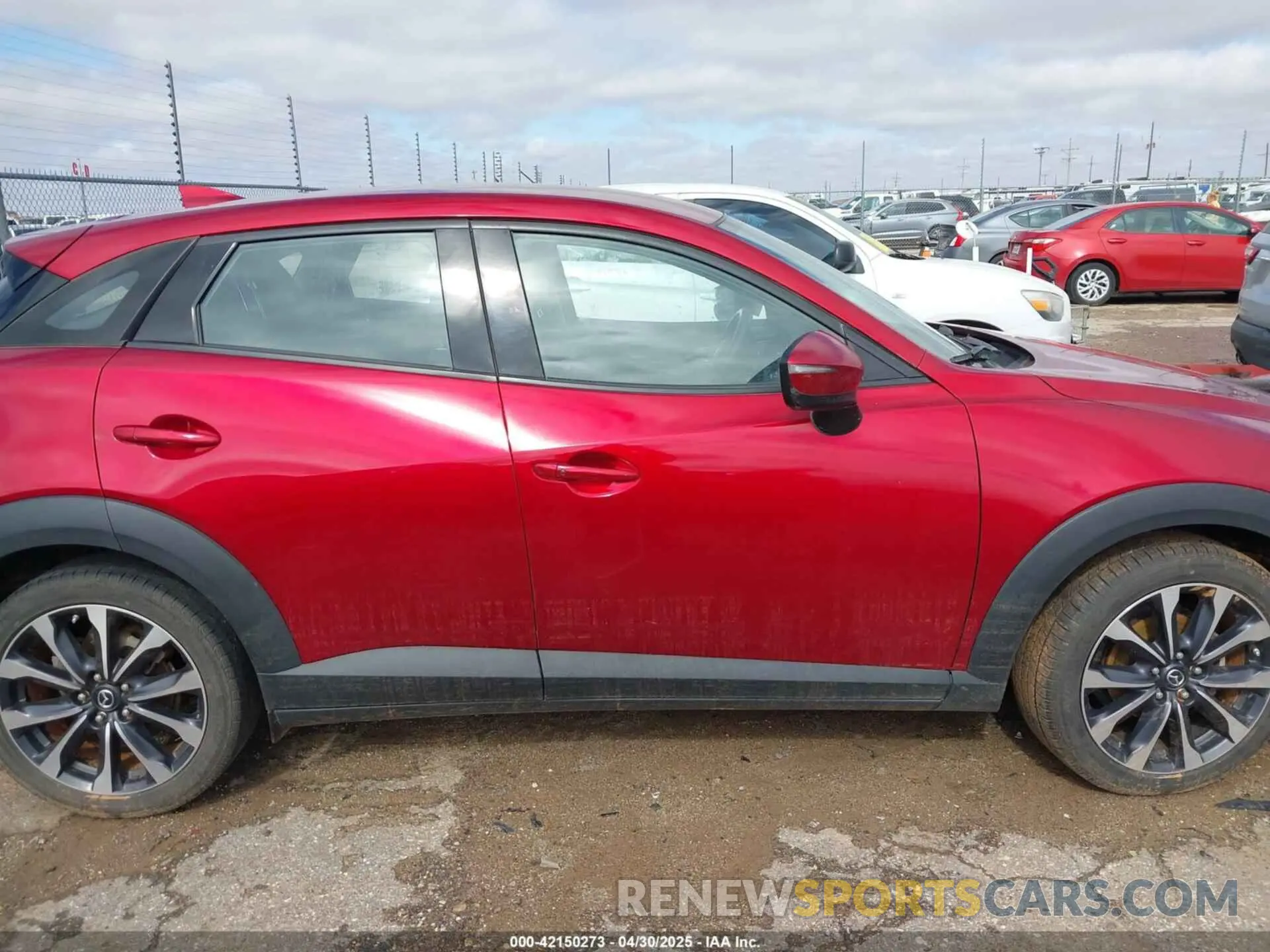 13 Photograph of a damaged car JM1DKDC70K1439014 MAZDA CX-3 2019