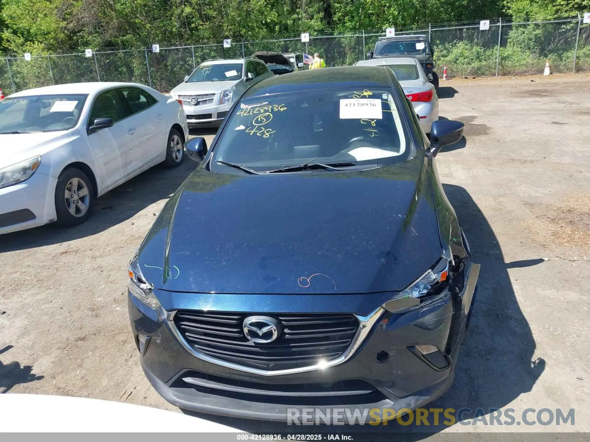 13 Photograph of a damaged car JM1DKFB70K1451421 MAZDA CX-3 2019