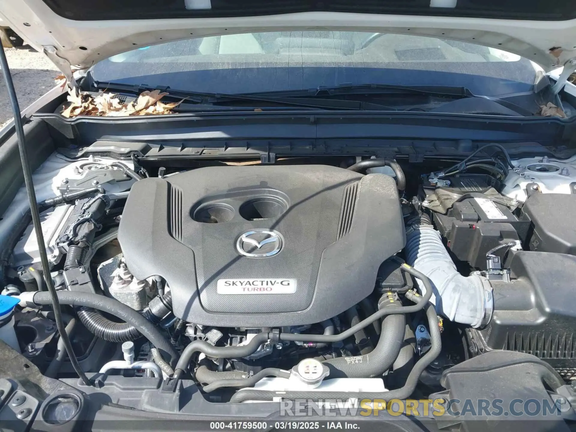 10 Photograph of a damaged car 3MVDMBDYXMM231104 MAZDA CX-30 2021