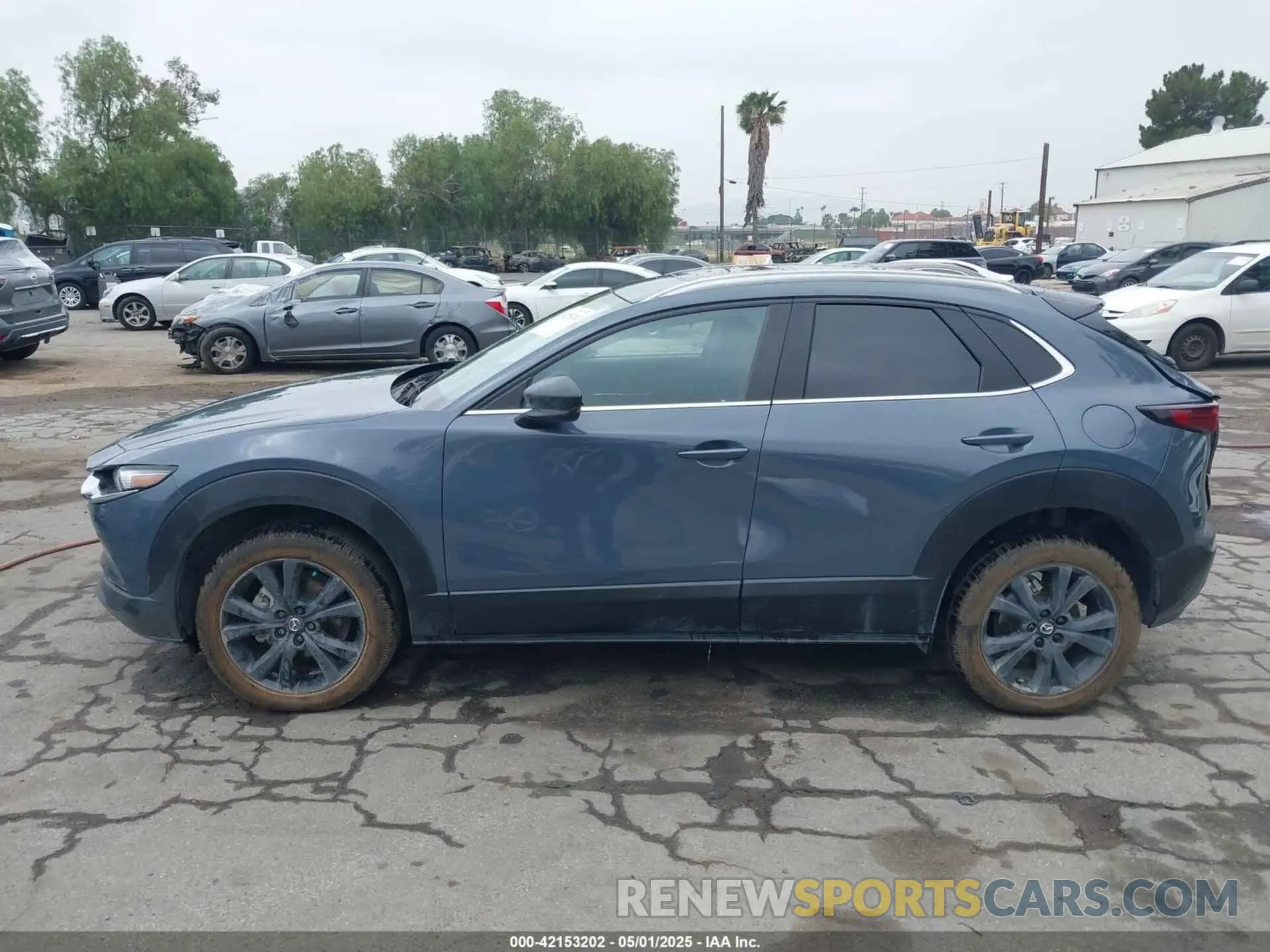14 Photograph of a damaged car 3MVDMBCL0NM456154 MAZDA CX-30 2022