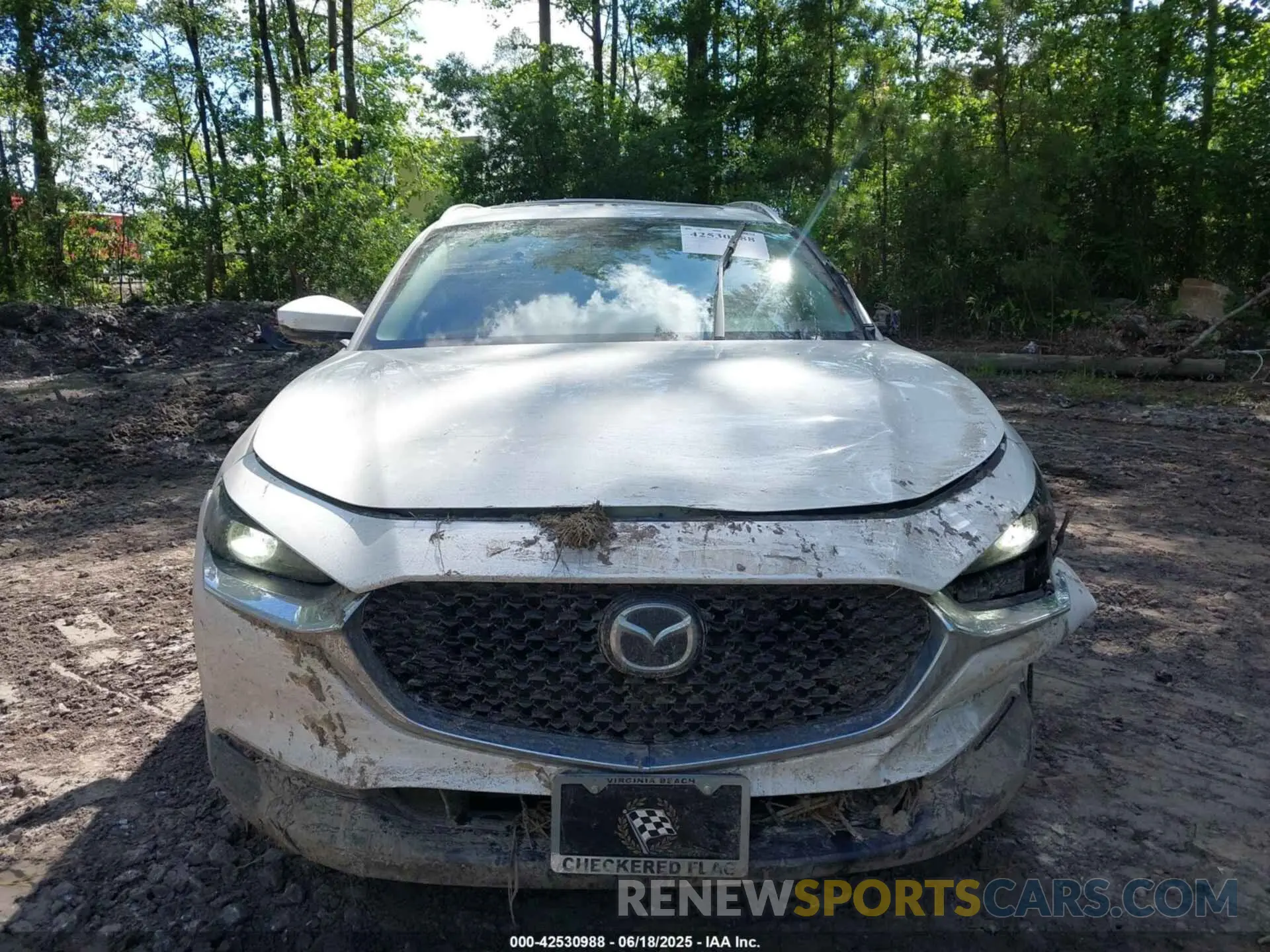 12 Photograph of a damaged car 3MVDMBCL8NM439828 MAZDA CX-30 2022
