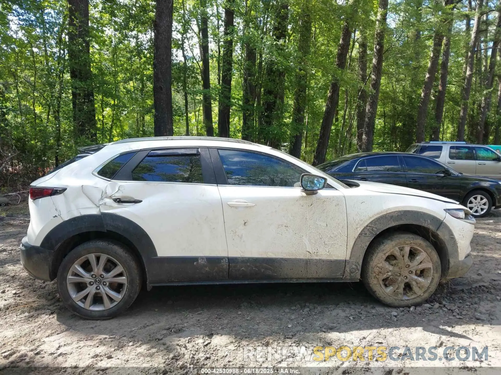 13 Photograph of a damaged car 3MVDMBCL8NM439828 MAZDA CX-30 2022