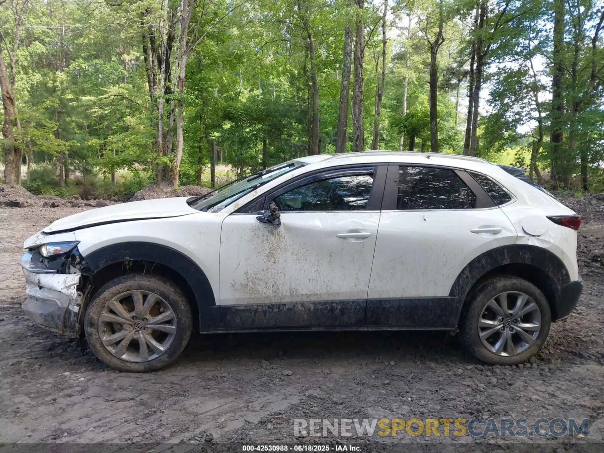 14 Photograph of a damaged car 3MVDMBCL8NM439828 MAZDA CX-30 2022
