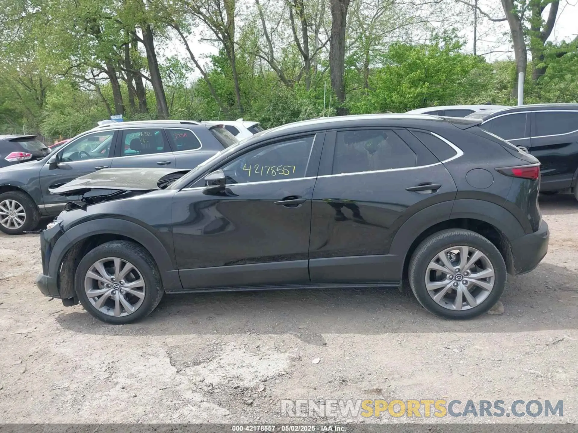 14 Photograph of a damaged car 3MVDMBBM6PM554733 MAZDA CX-30 2023