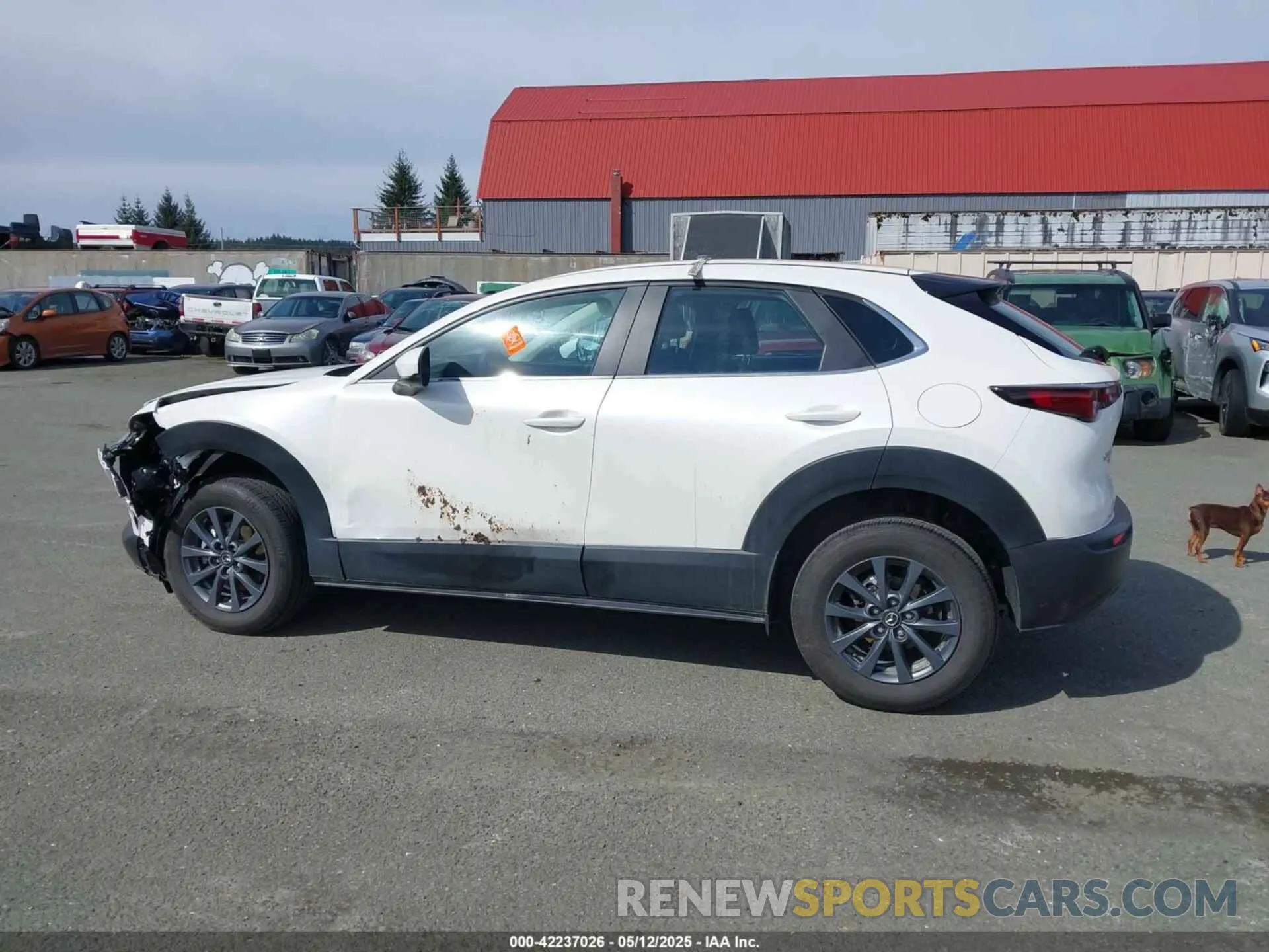 14 Photograph of a damaged car 3MVDMBAM2RM667132 MAZDA CX-30 2024
