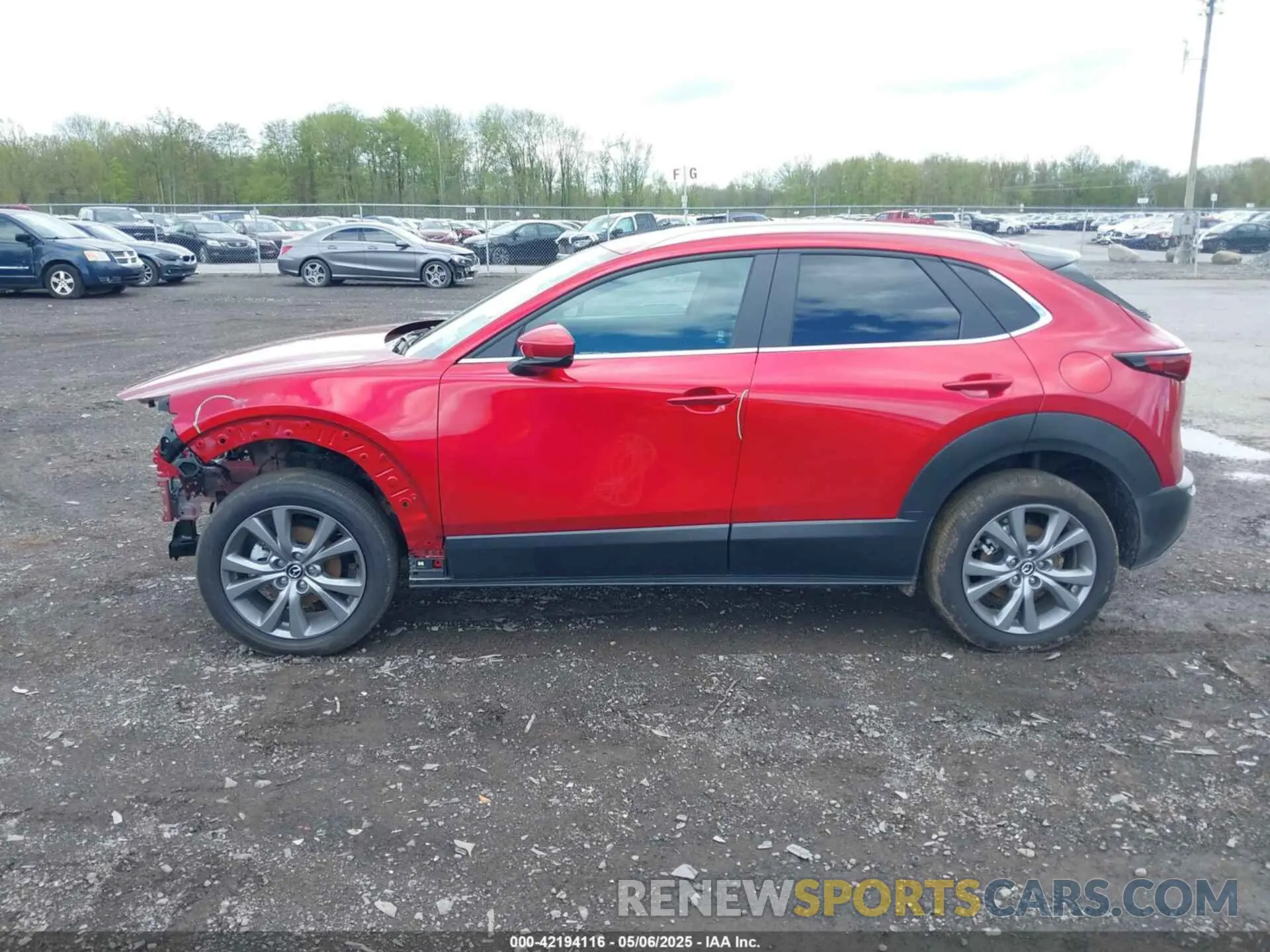 14 Photograph of a damaged car 3MVDMBCM1RM704376 MAZDA CX-30 2024