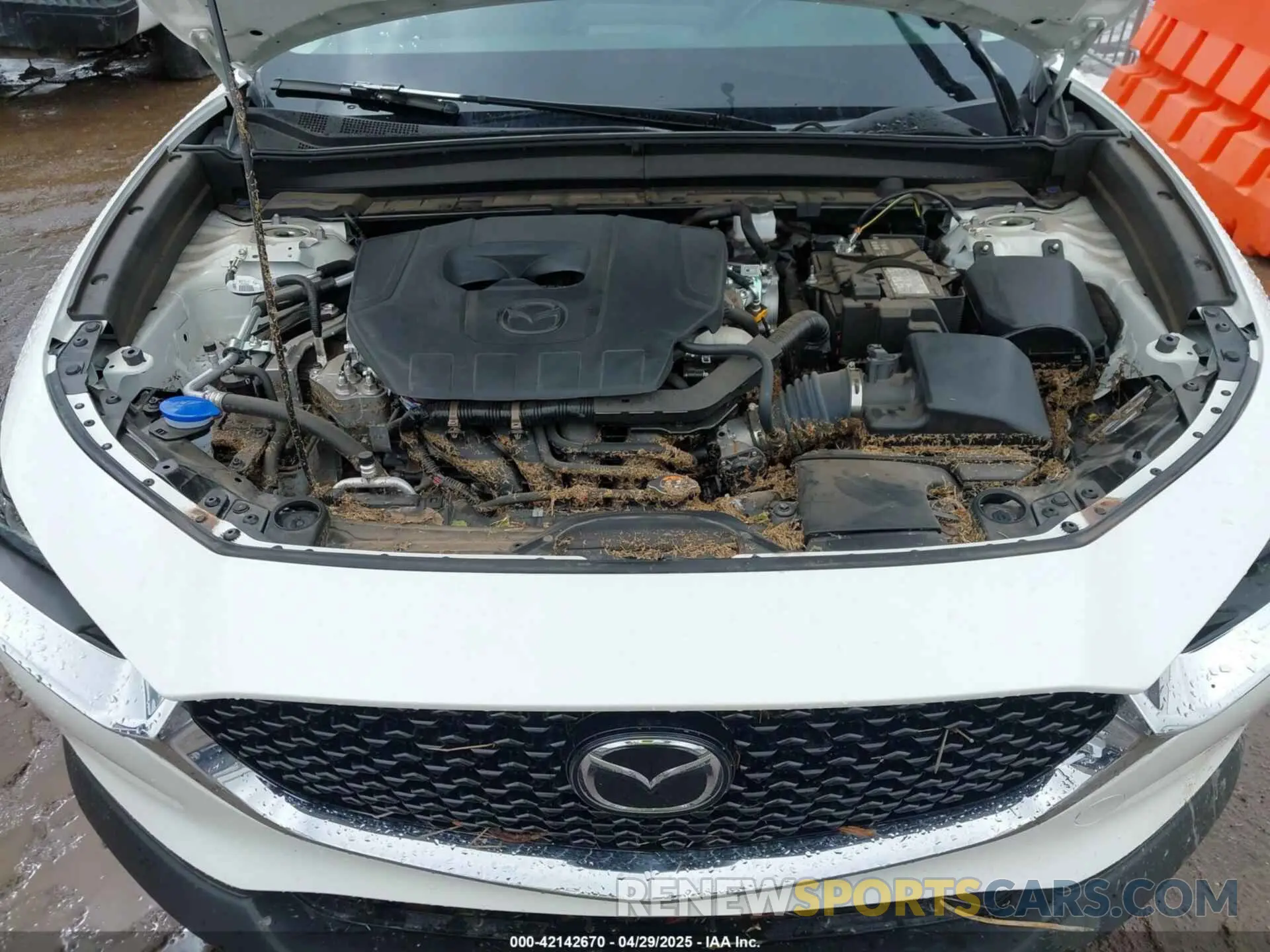 10 Photograph of a damaged car 3MVDMBCM2RM617697 MAZDA CX-30 2024