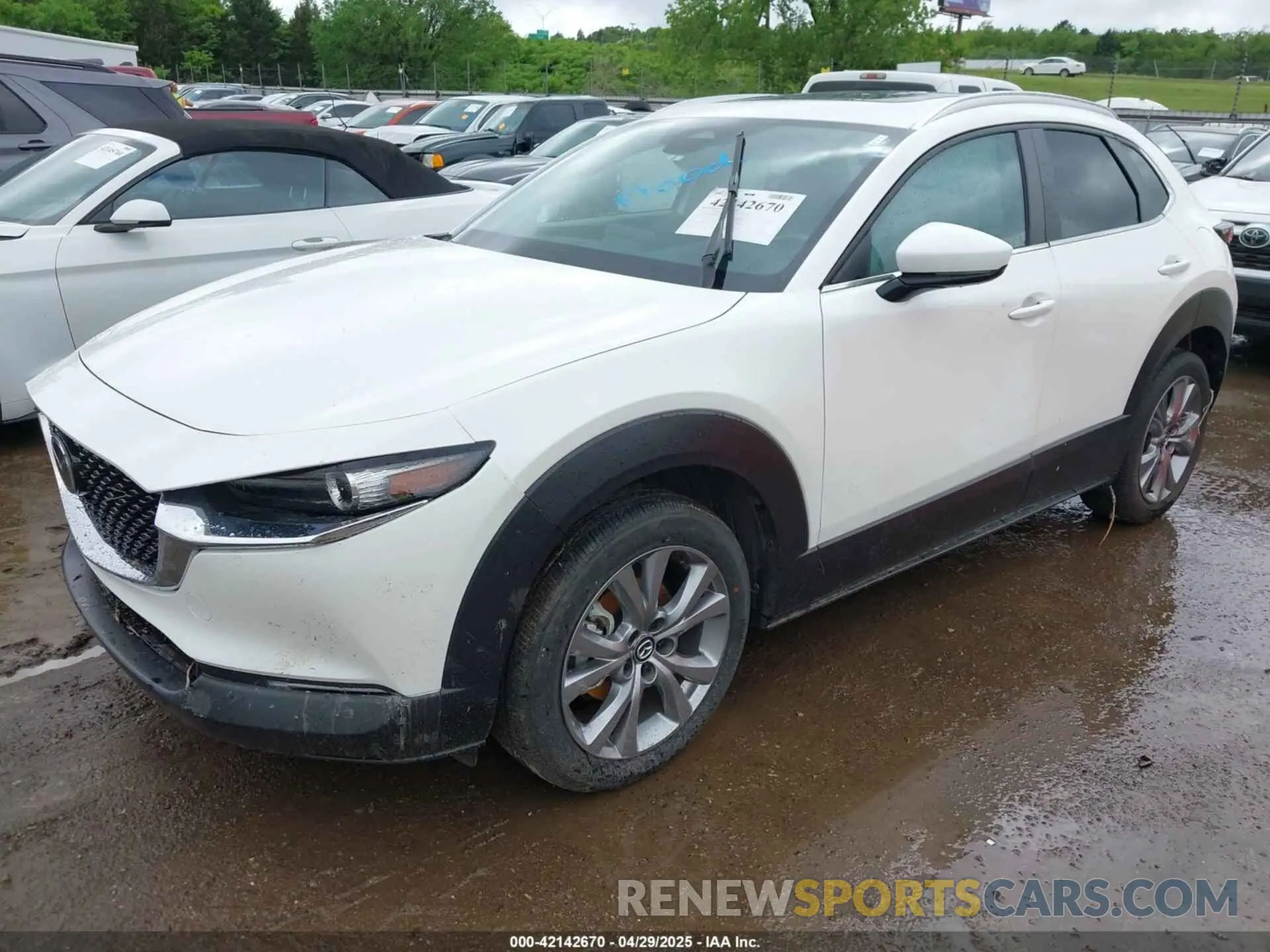 2 Photograph of a damaged car 3MVDMBCM2RM617697 MAZDA CX-30 2024