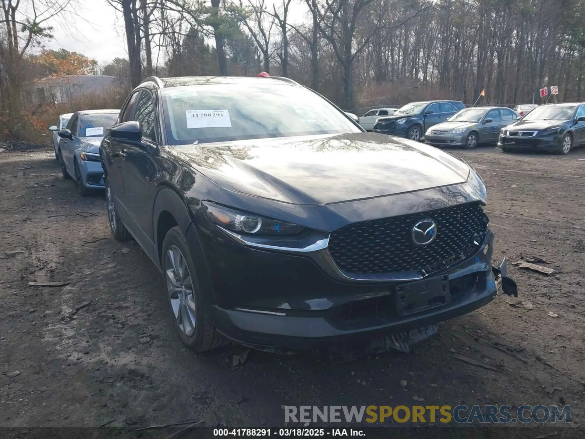12 Photograph of a damaged car 3MVDMBCM4RM681739 MAZDA CX-30 2024