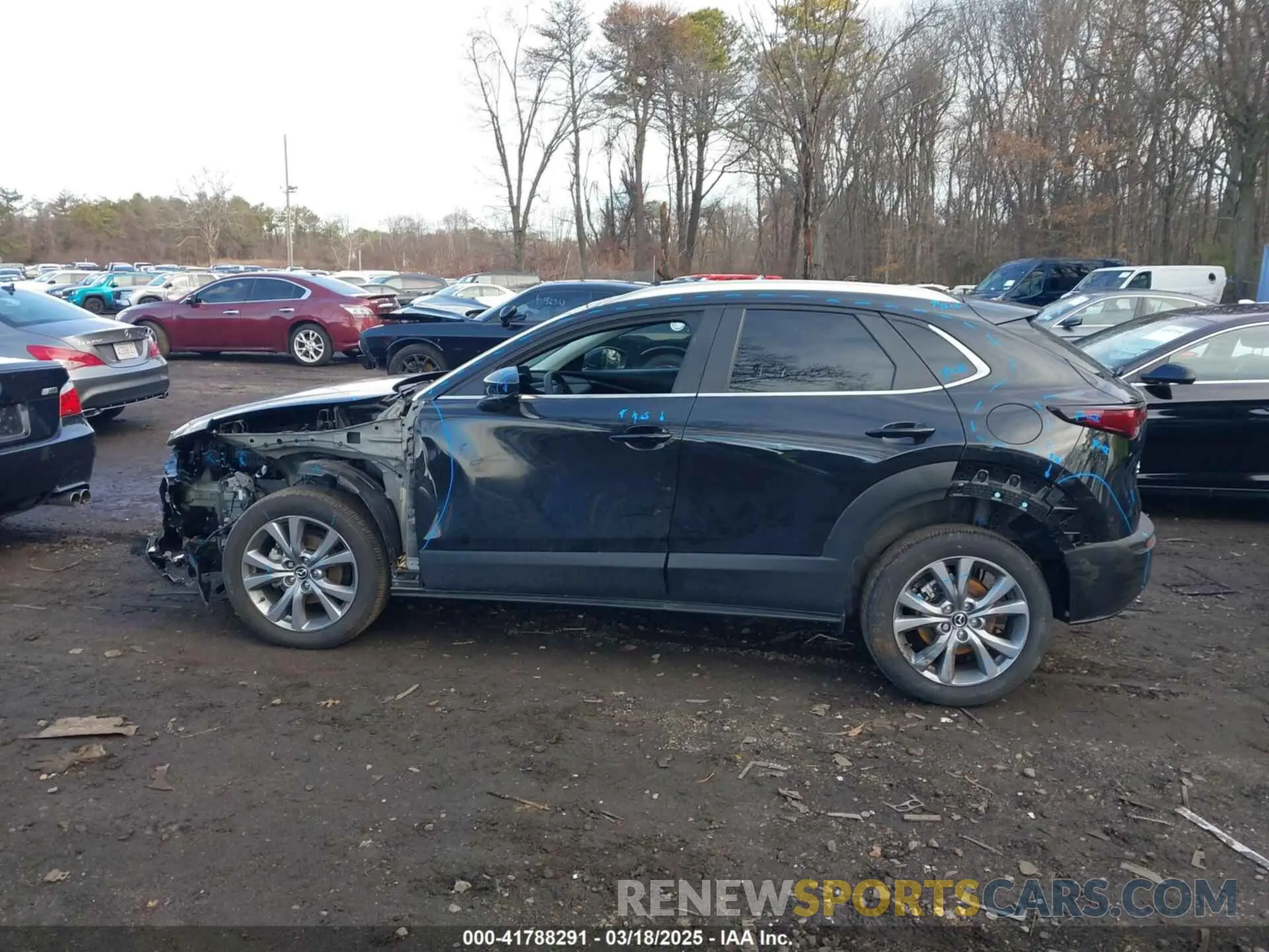 14 Photograph of a damaged car 3MVDMBCM4RM681739 MAZDA CX-30 2024