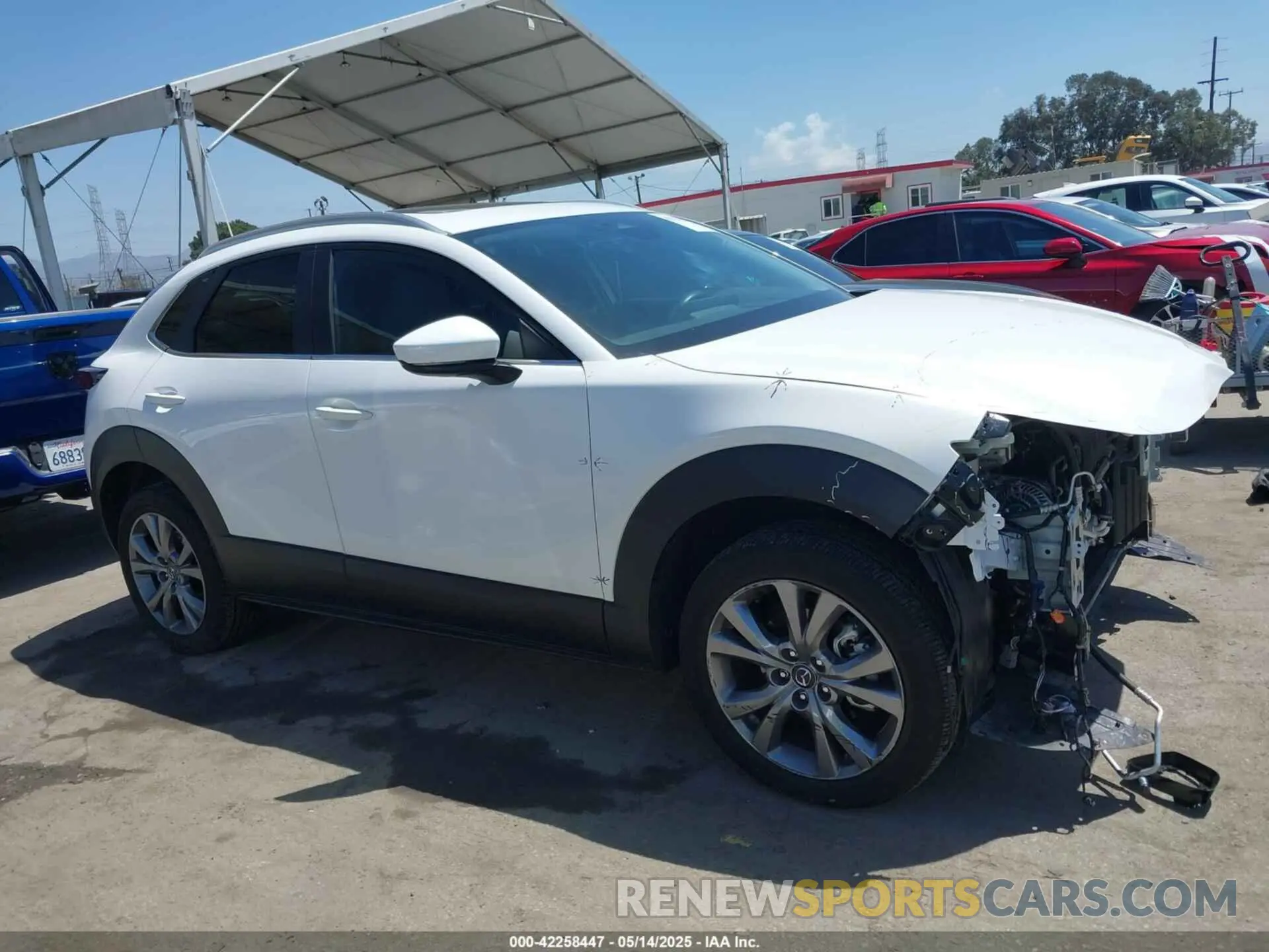 14 Photograph of a damaged car 3MVDMBCM4RM714884 MAZDA CX-30 2024