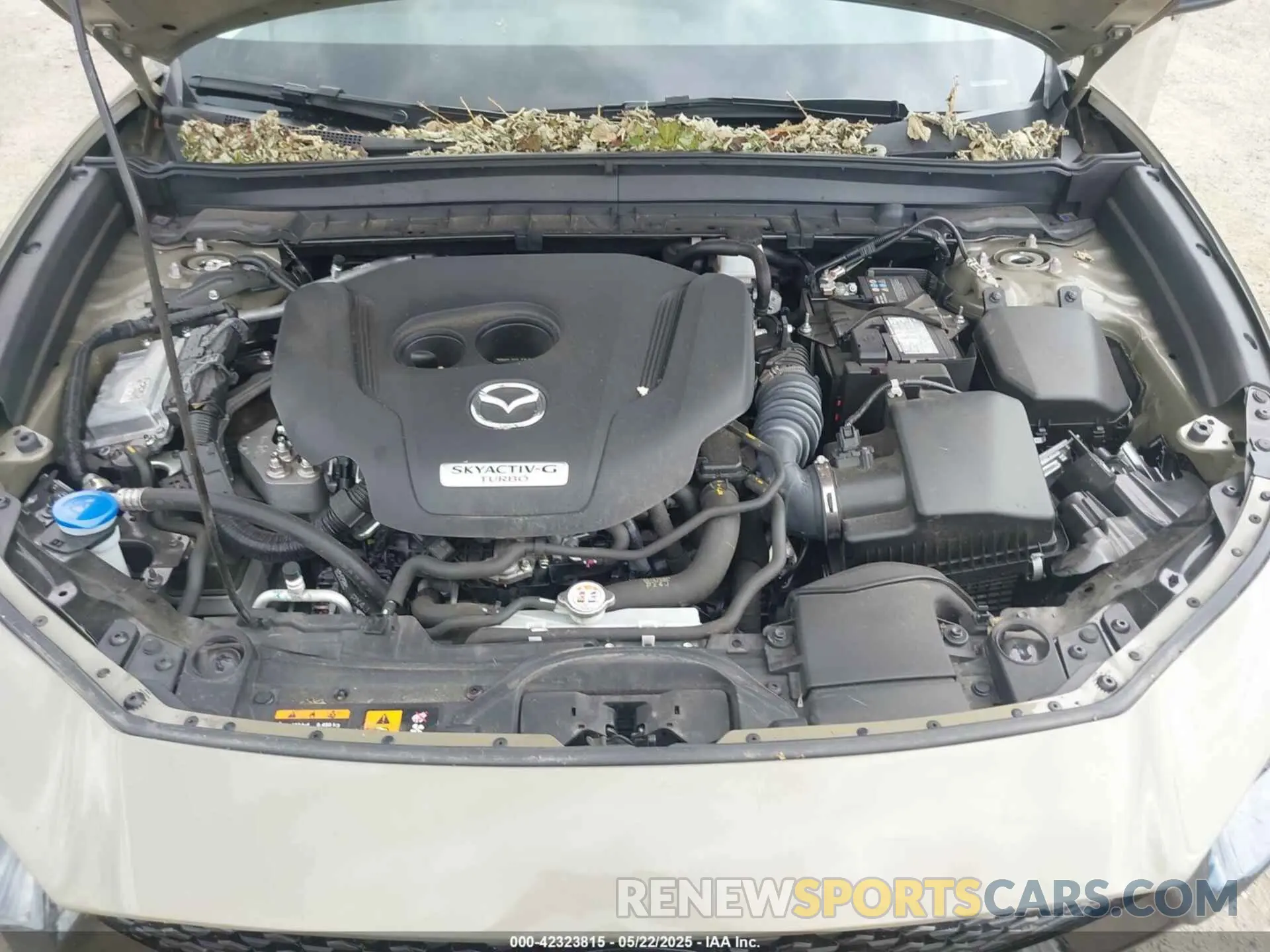 10 Photograph of a damaged car 3MVDMBXY2RM645111 MAZDA CX-30 2024