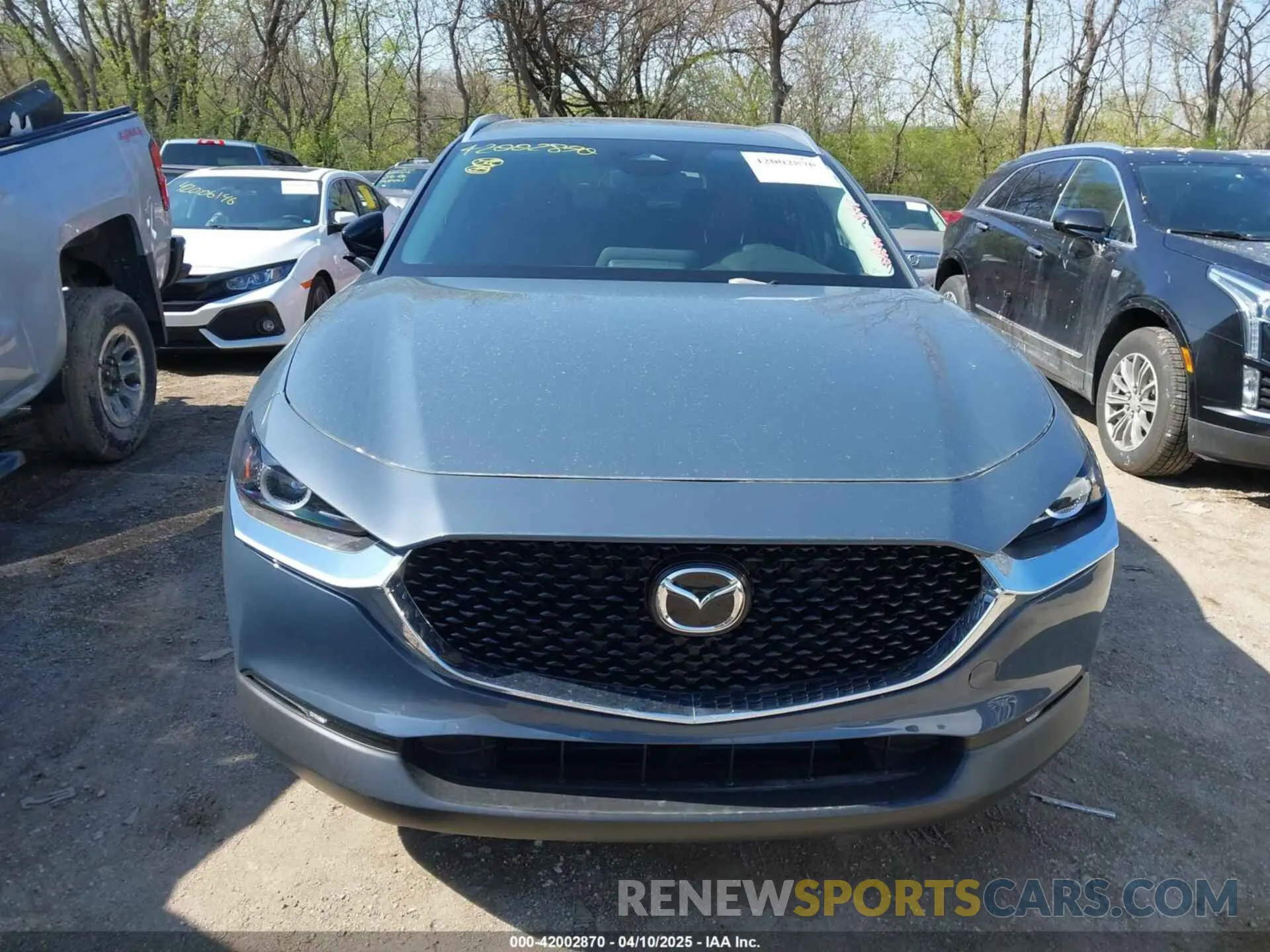 12 Photograph of a damaged car 3MVDMBCM6SM800316 MAZDA CX-30 2025