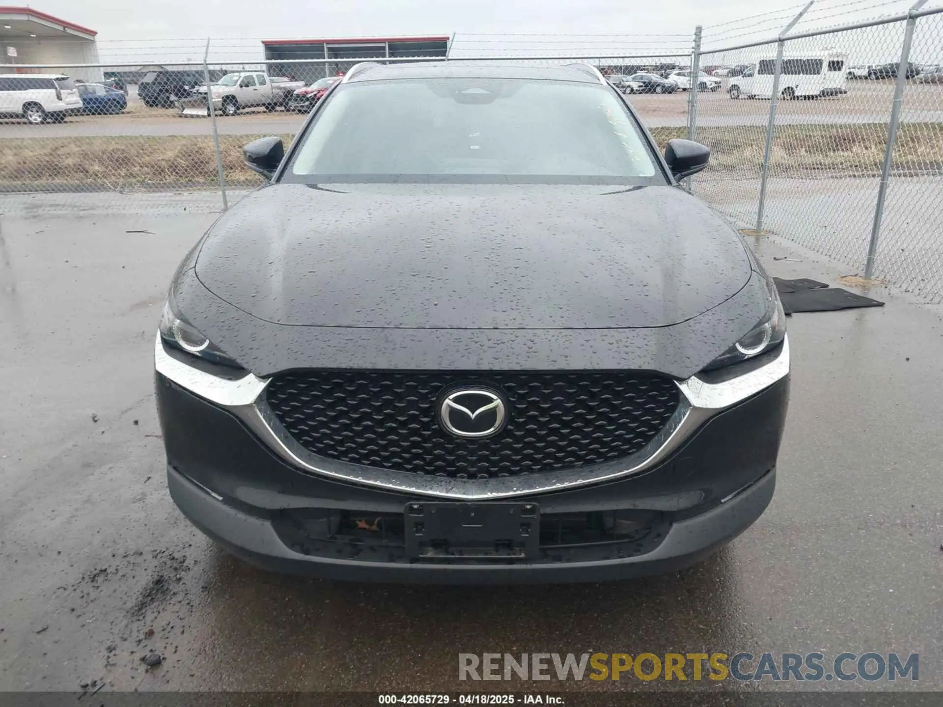 12 Photograph of a damaged car 3MVDMBCM9SM783429 MAZDA CX-30 2025