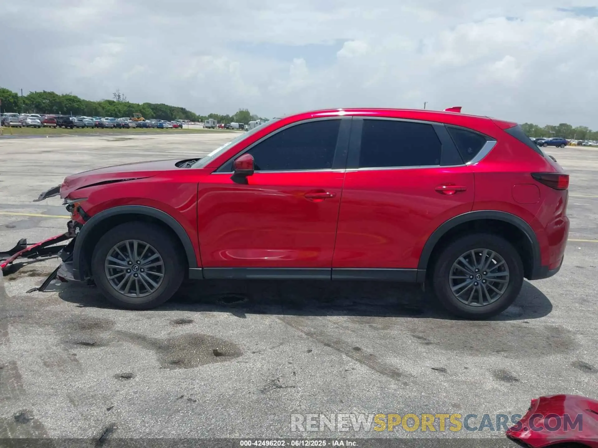 14 Photograph of a damaged car JM3KFABM1K1502131 MAZDA CX-5 2019