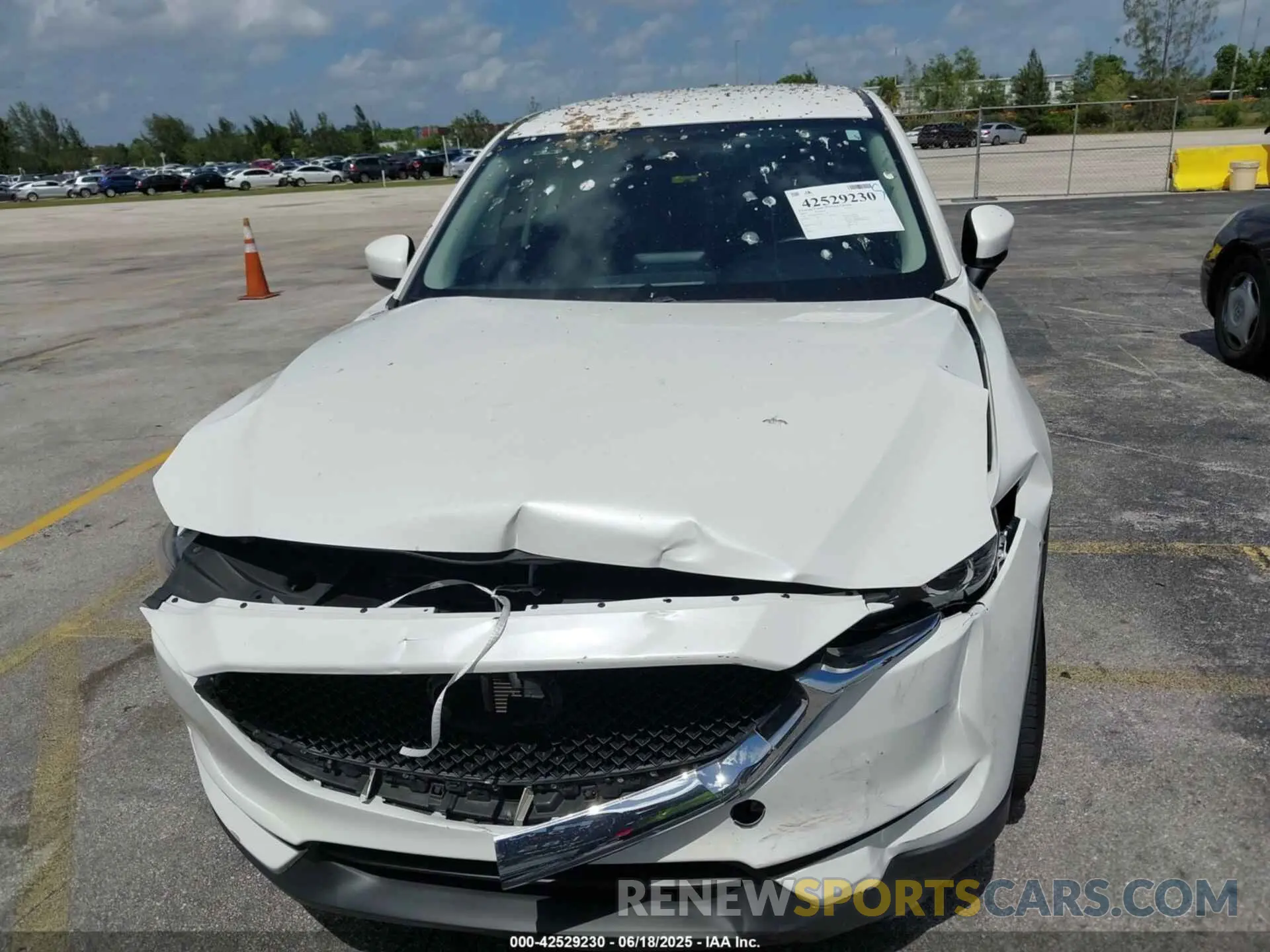 12 Photograph of a damaged car JM3KFABM3K0532947 MAZDA CX-5 2019