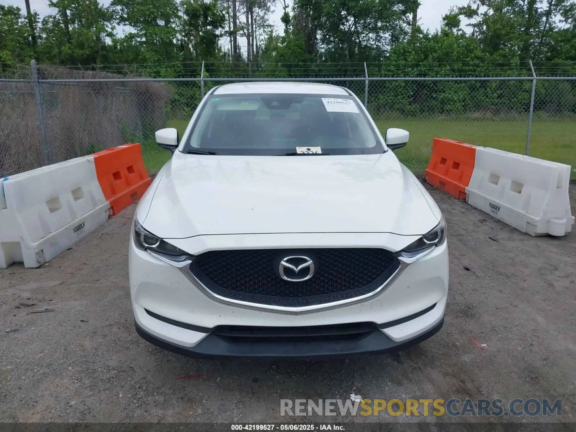 12 Photograph of a damaged car JM3KFABM4K0580263 MAZDA CX-5 2019