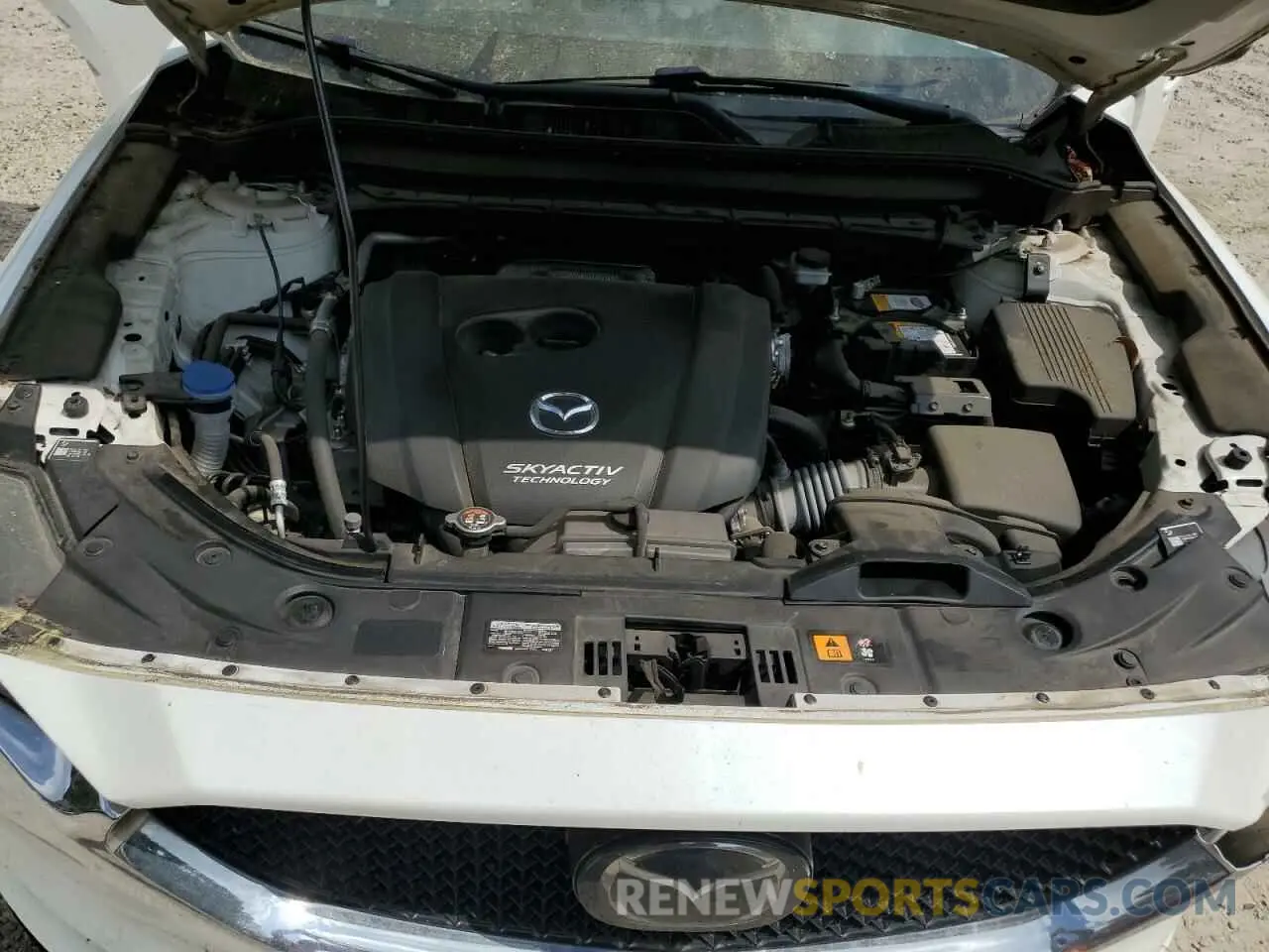 13 Photograph of a damaged car JM3KFACM2K0575822 MAZDA CX-5 2019