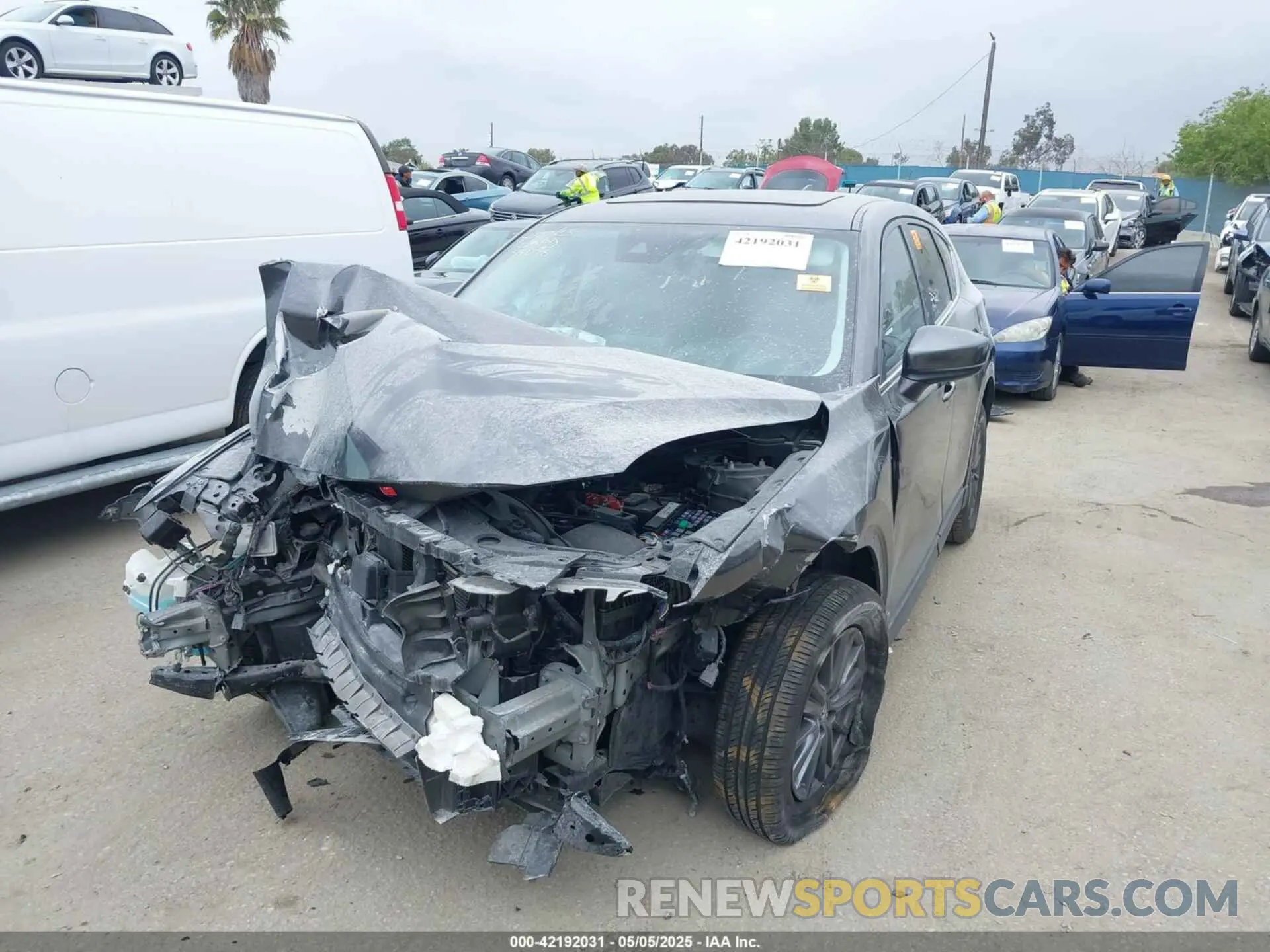 2 Photograph of a damaged car JM3KFACM2K1562840 MAZDA CX-5 2019
