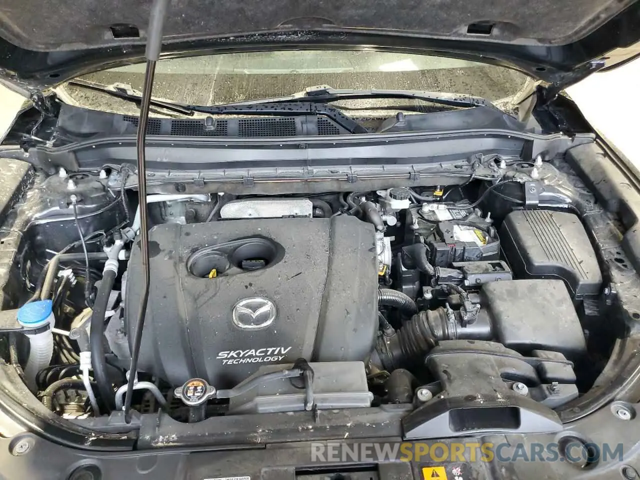 14 Photograph of a damaged car JM3KFACM6K1562646 MAZDA CX-5 2019